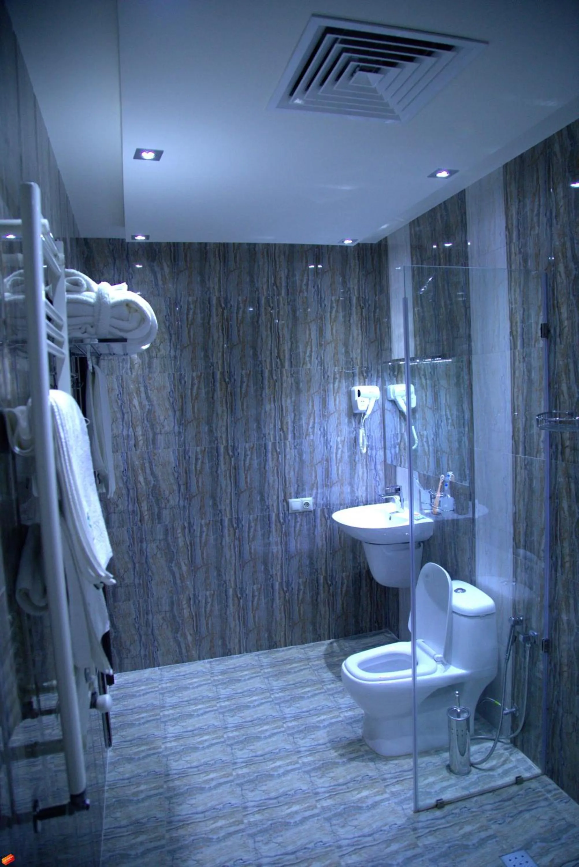 Toilet in Palma Palace Hotel