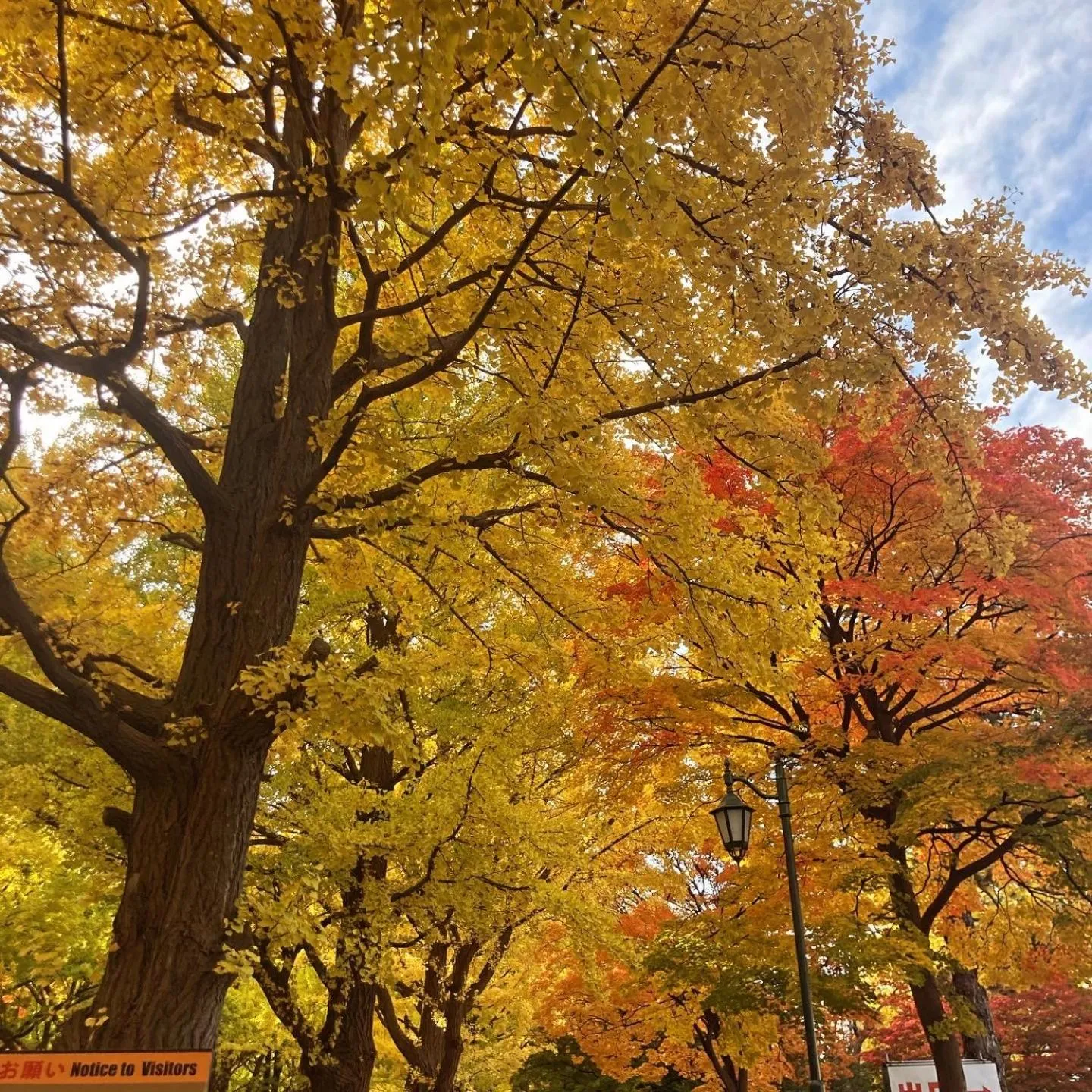 Nearby landmark in Untapped Hostel