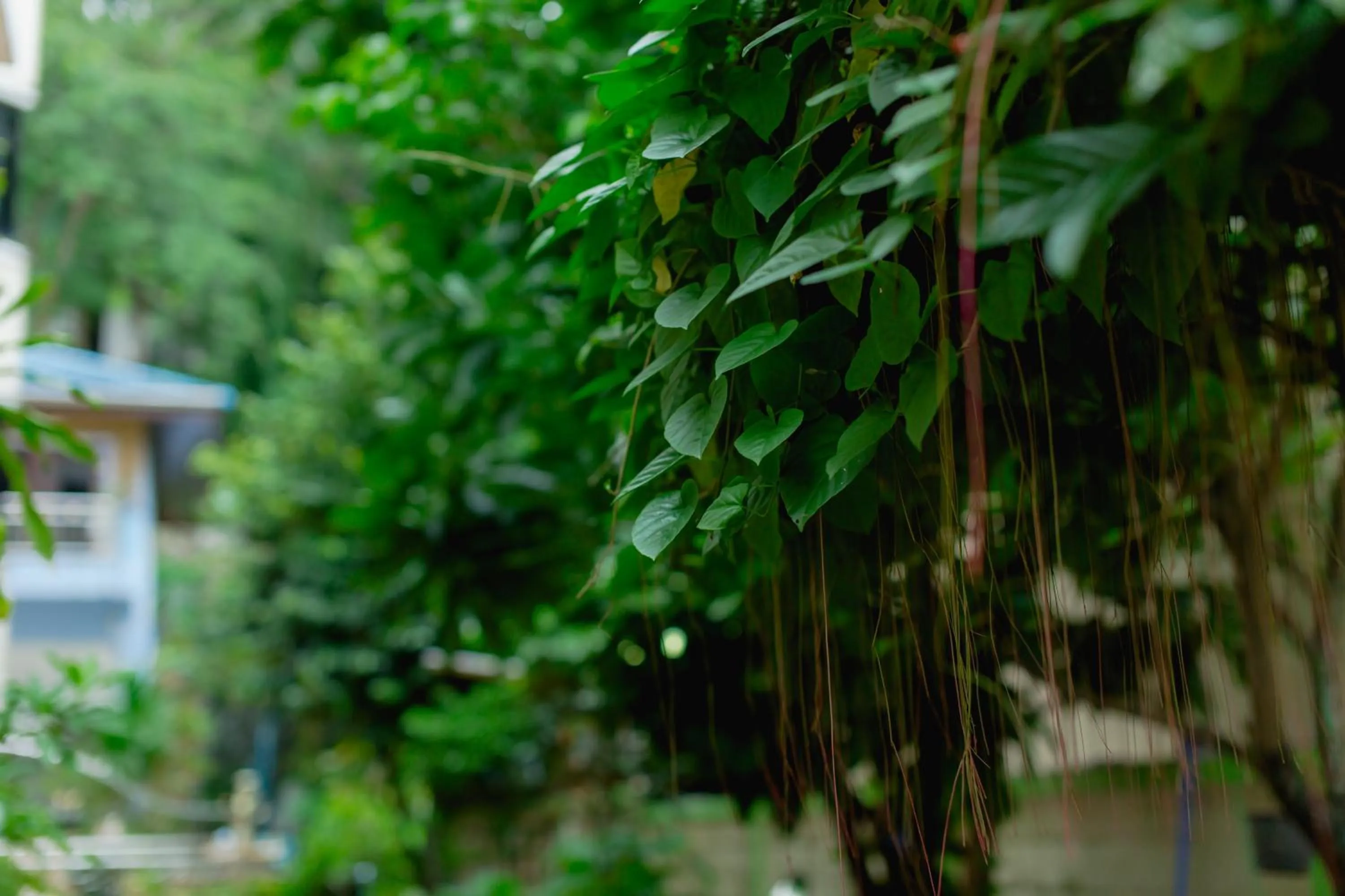 On site in RK Guesthouse