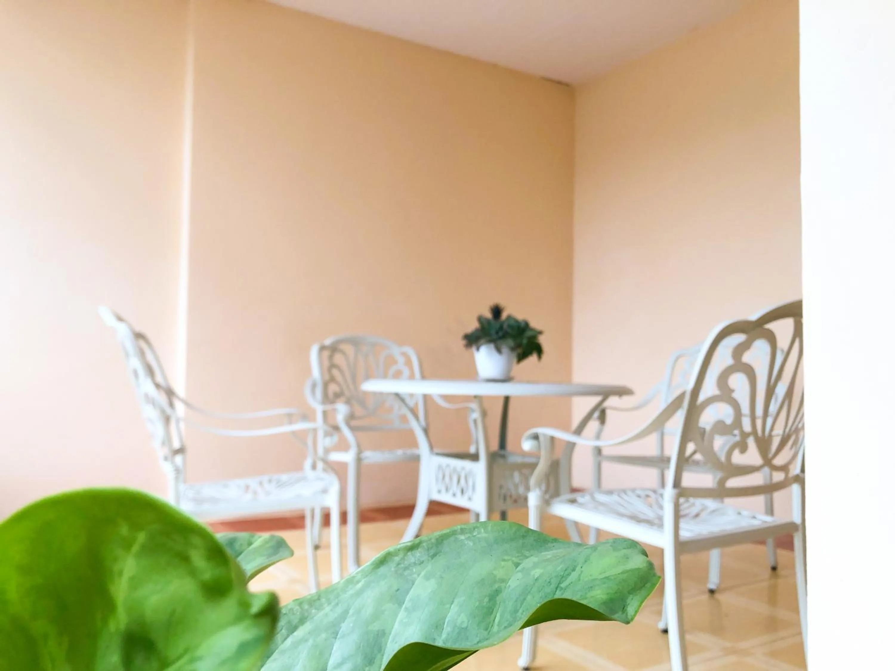 Activities in RK Guesthouse