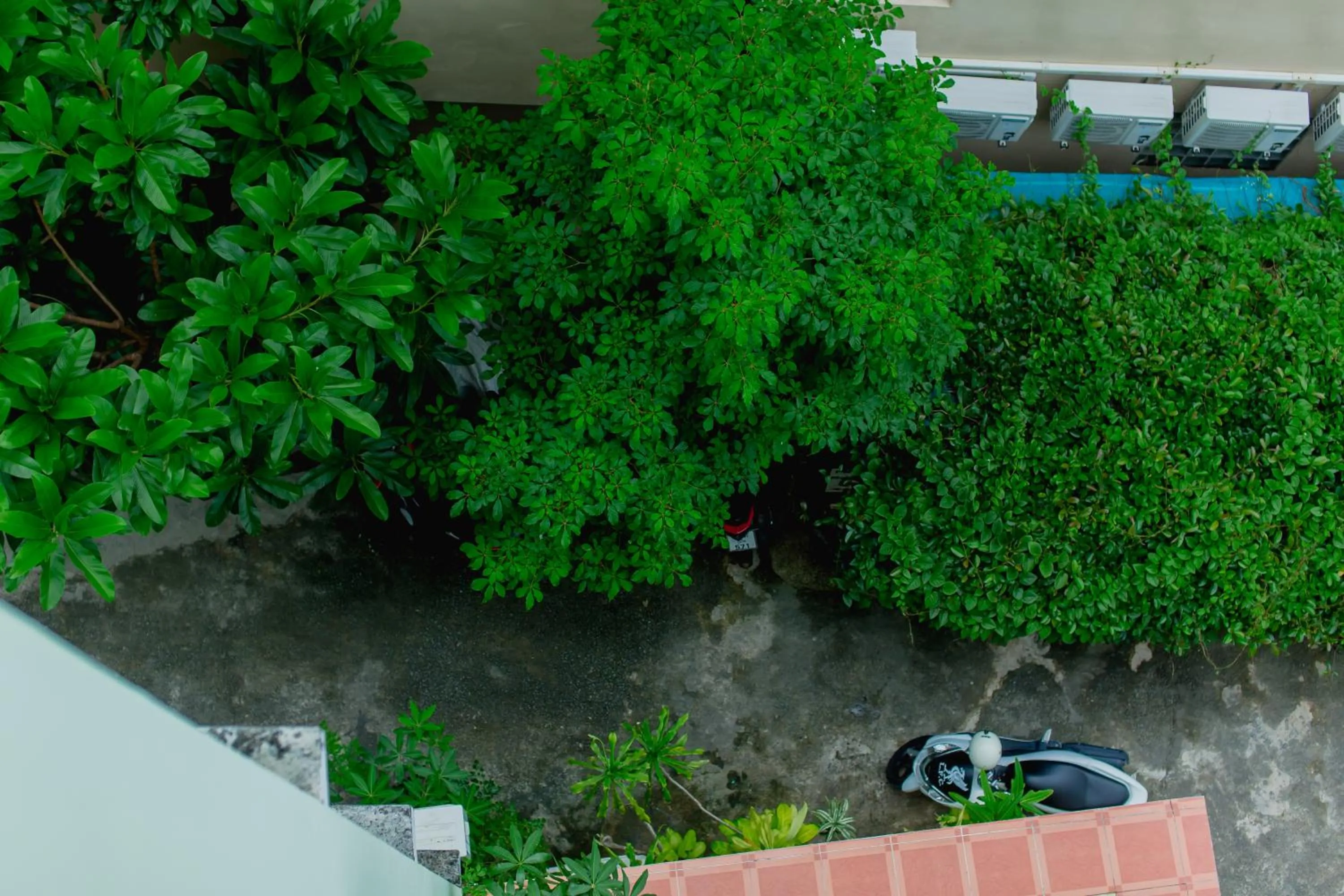 Bird's eye view in RK Guesthouse