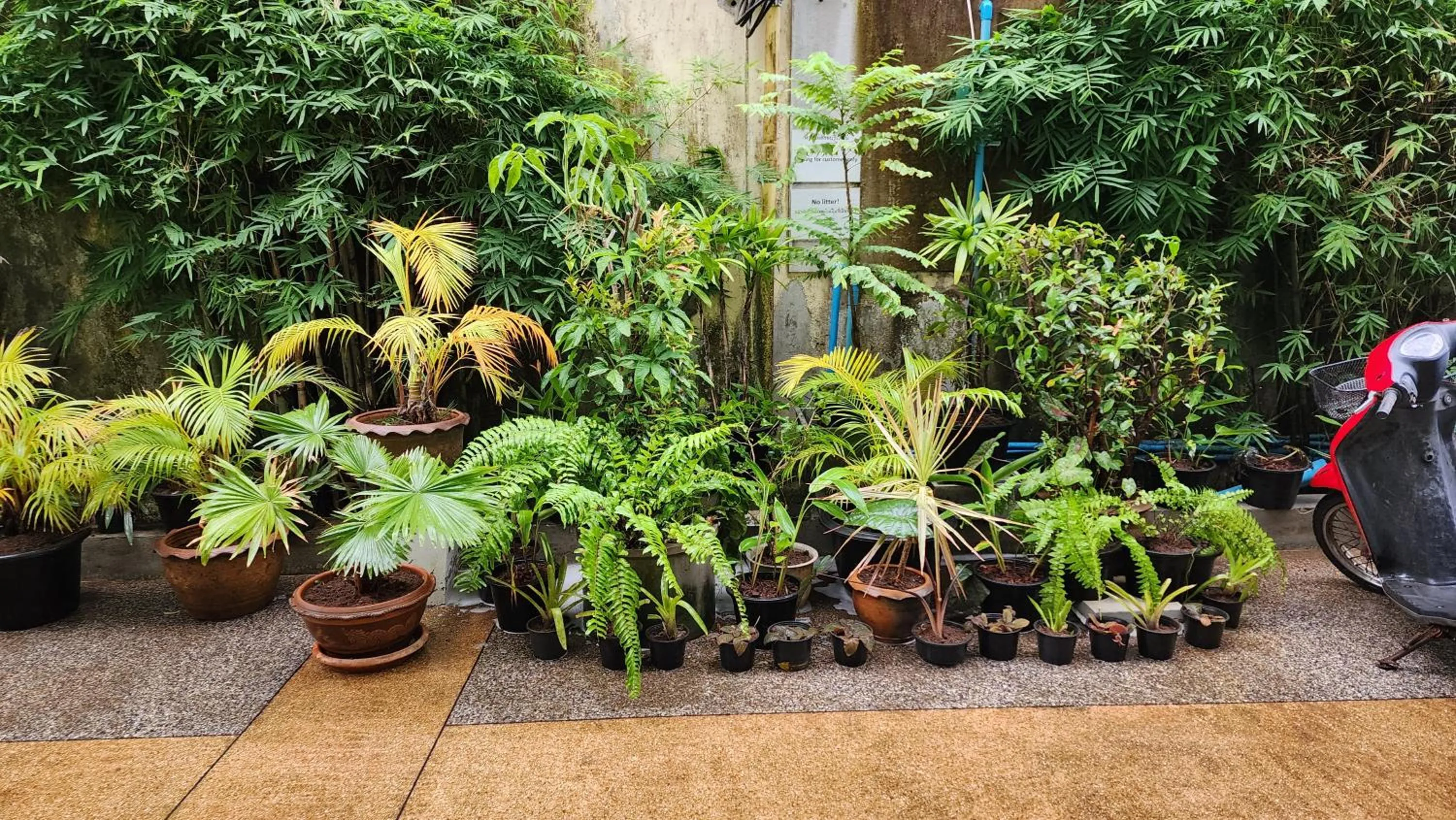 Garden in iRest Ao Nang