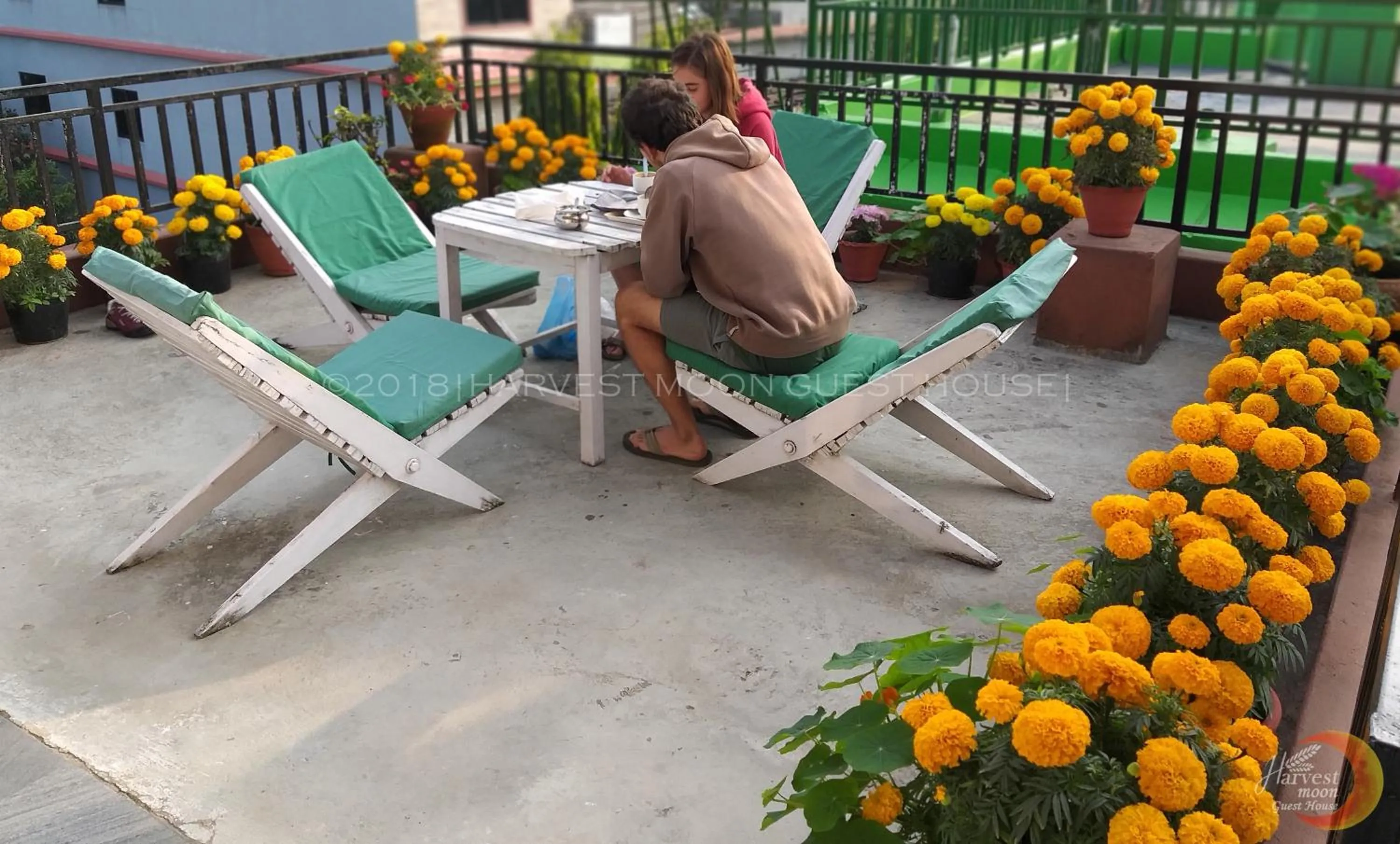 Garden in Harvest Moon Guest House