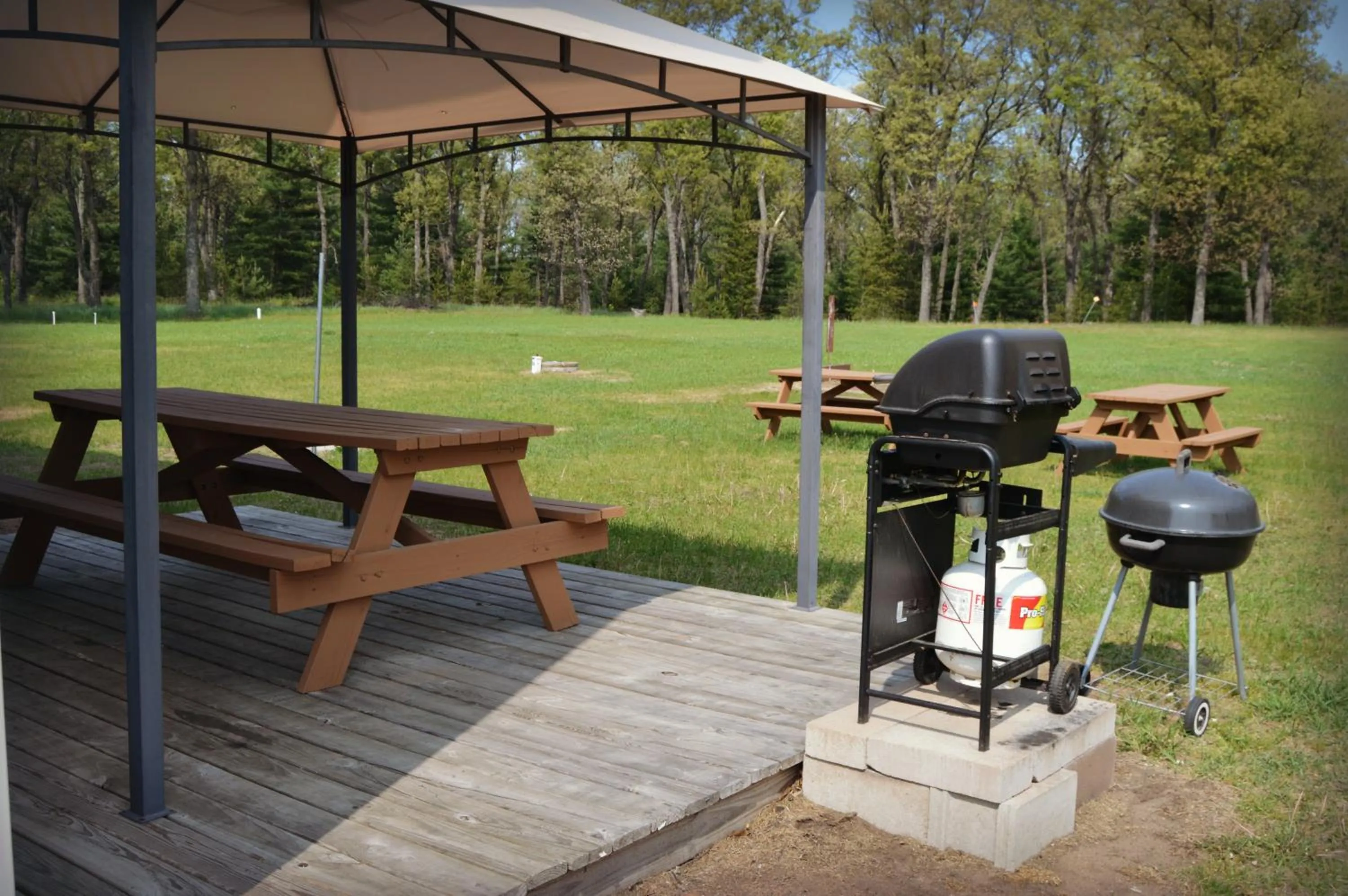 BBQ facilities in Adams Inn and Suites