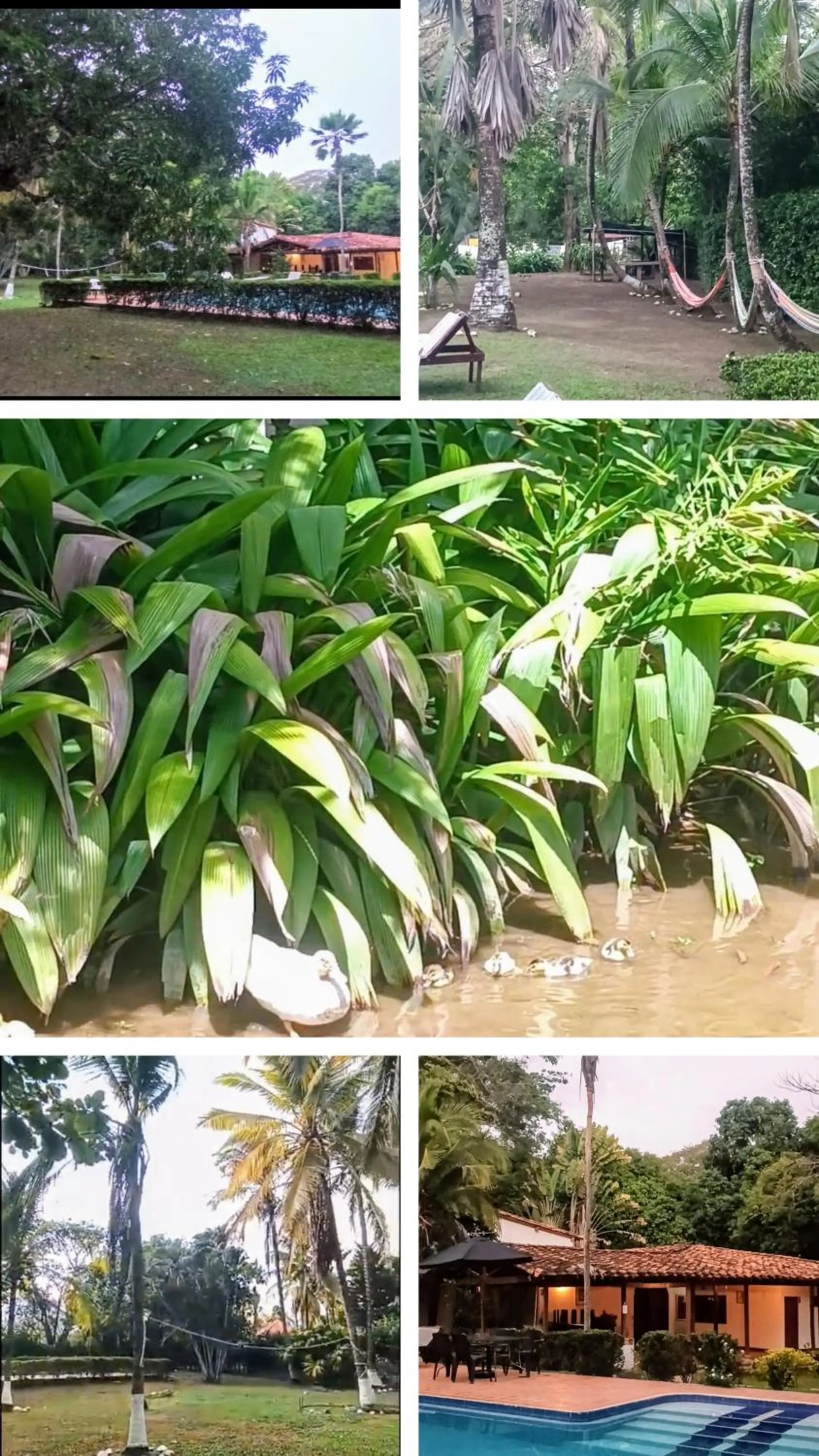 Finca Hotel La Estancia