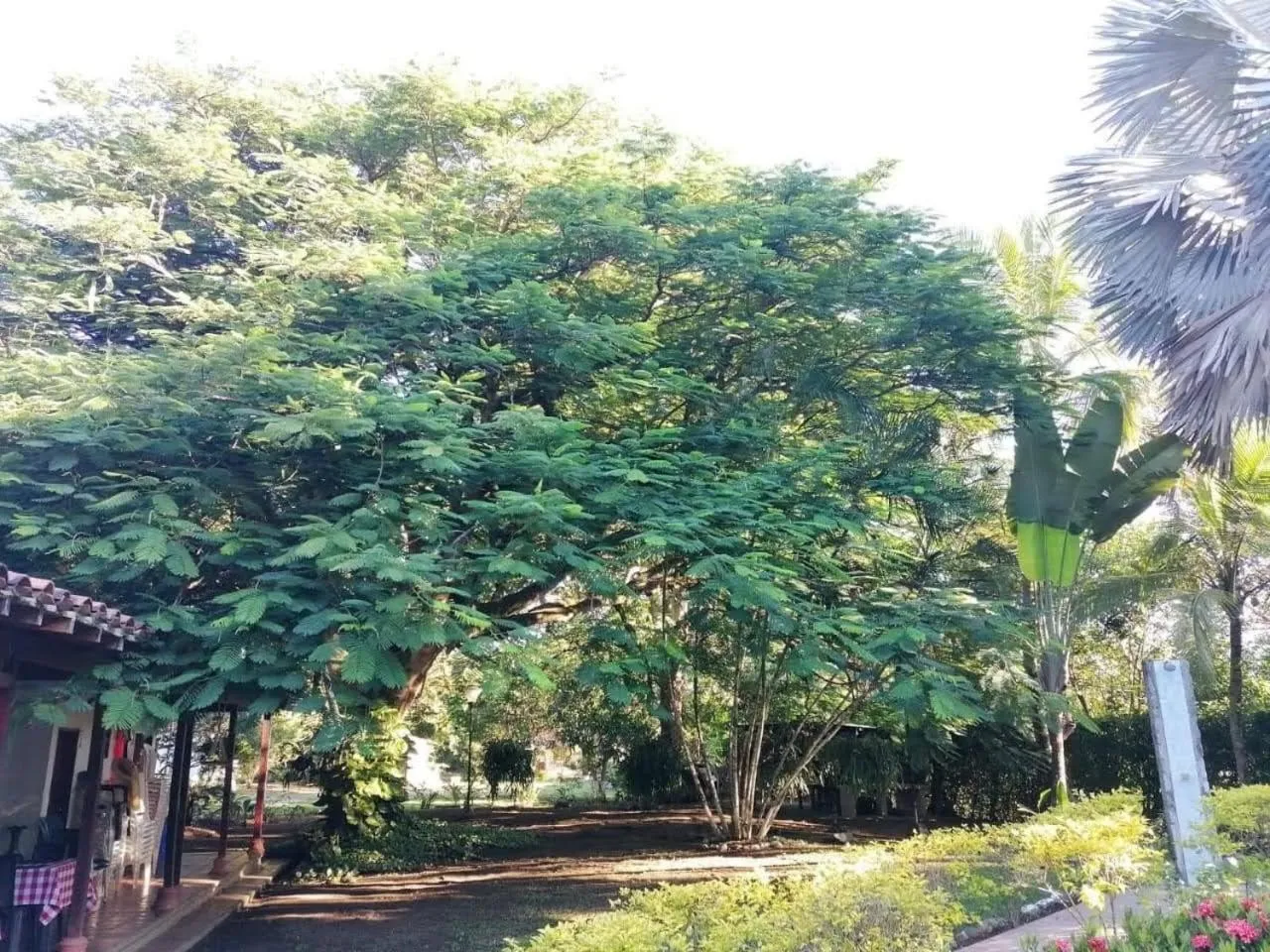 Finca Hotel La Estancia