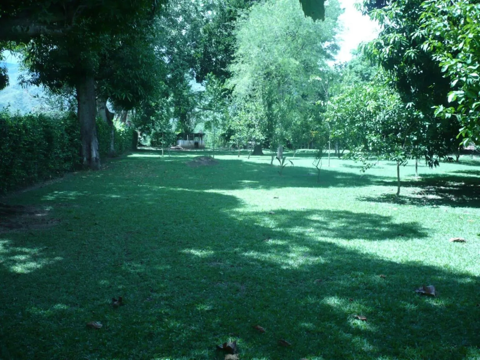 Natural landscape in Finca Hotel La Estancia