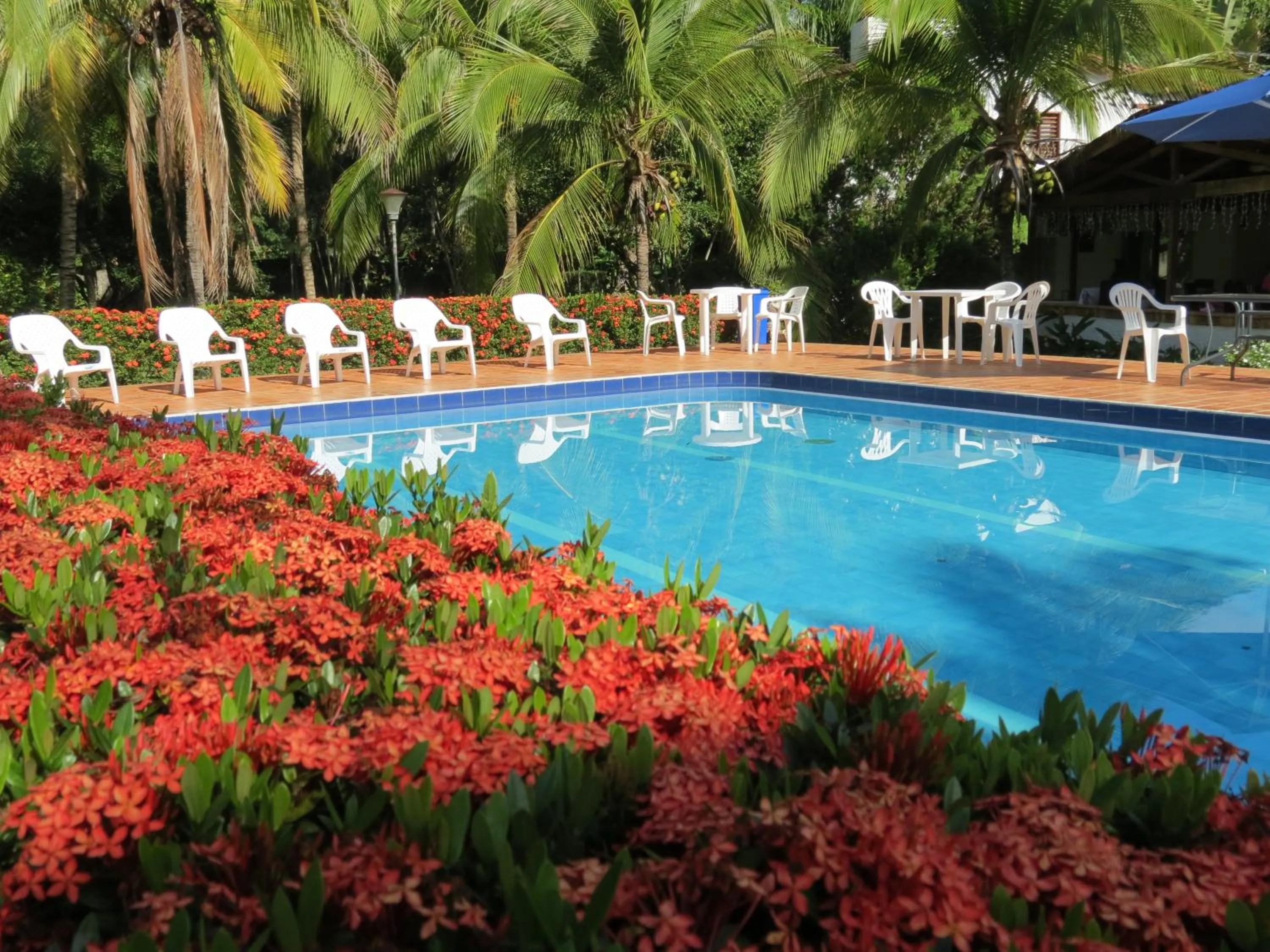 Swimming pool in Finca Hotel La Estancia