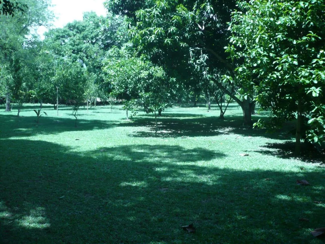 Garden in Finca Hotel La Estancia