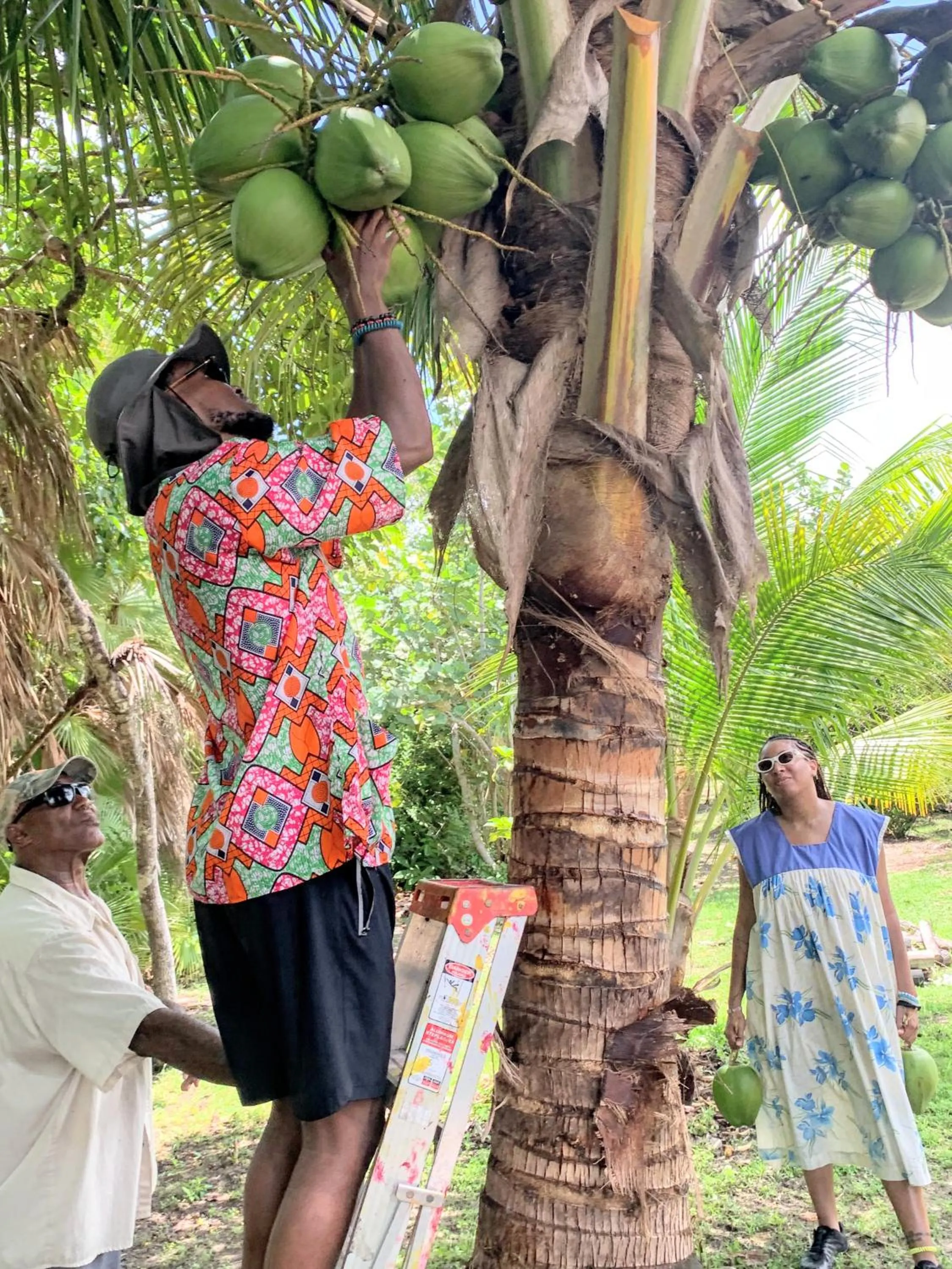 Activities in Palmento Grove Garifuna Eco-Cultural & Healing Institute