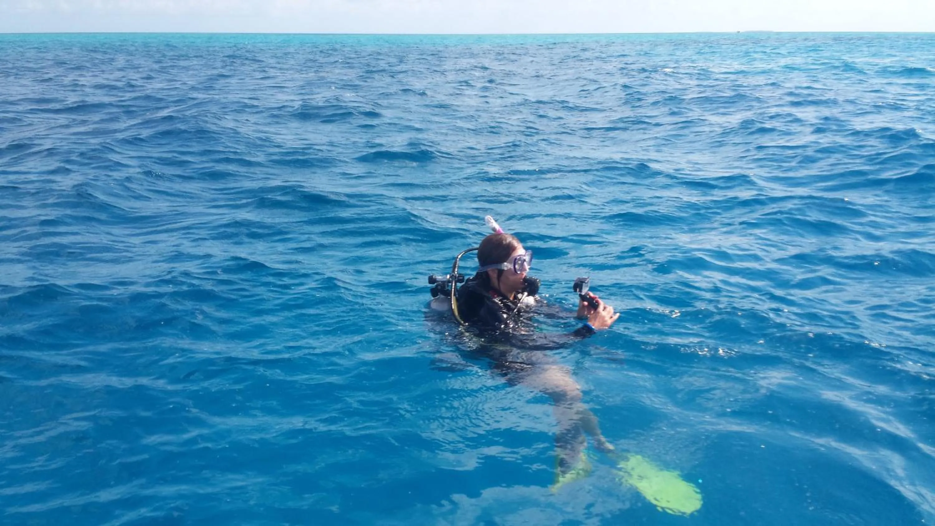 Activities in Palmento Grove Garifuna Eco-Cultural & Healing Institute