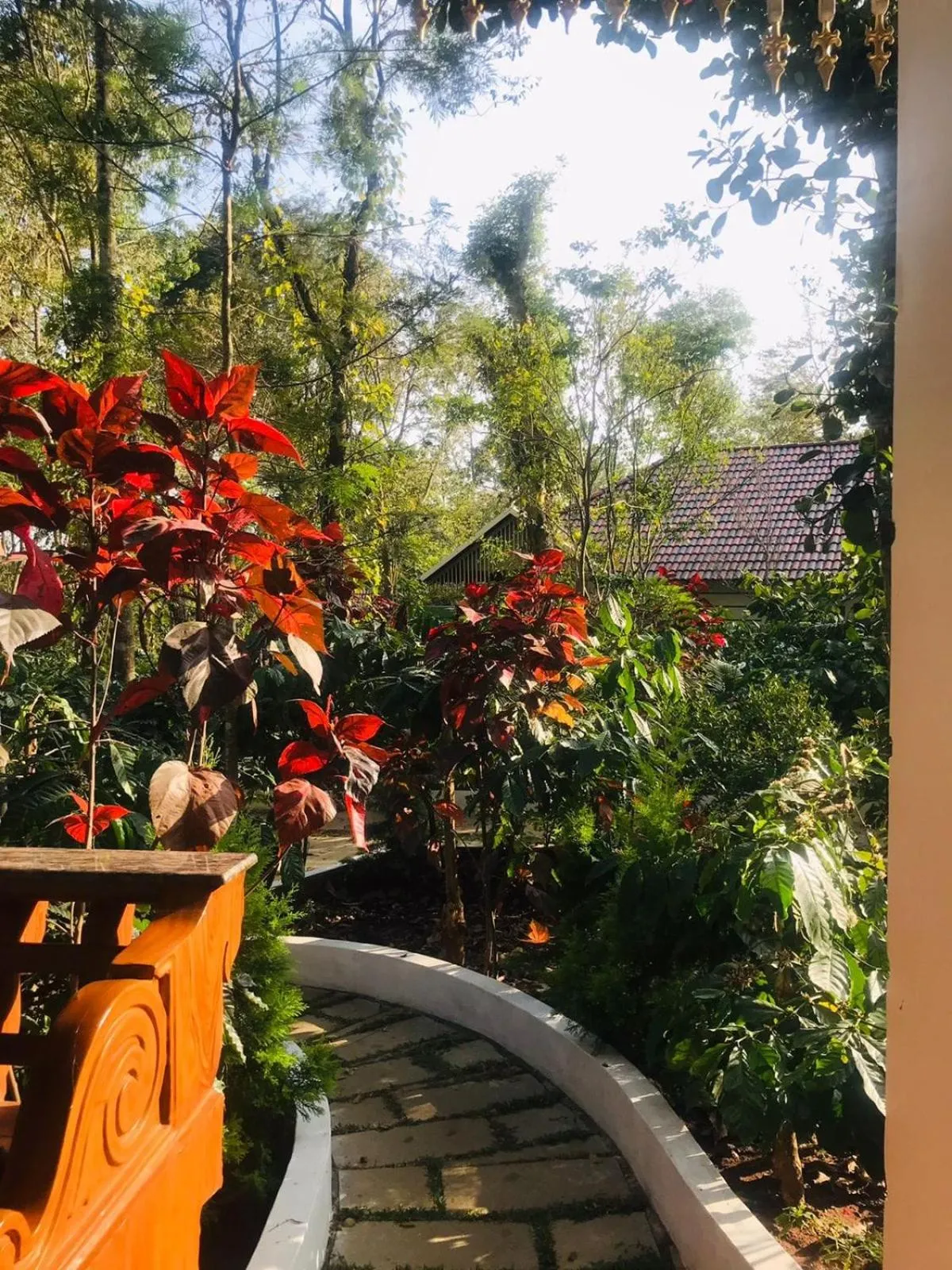 Coorg Orange Blossom Resort and Spa