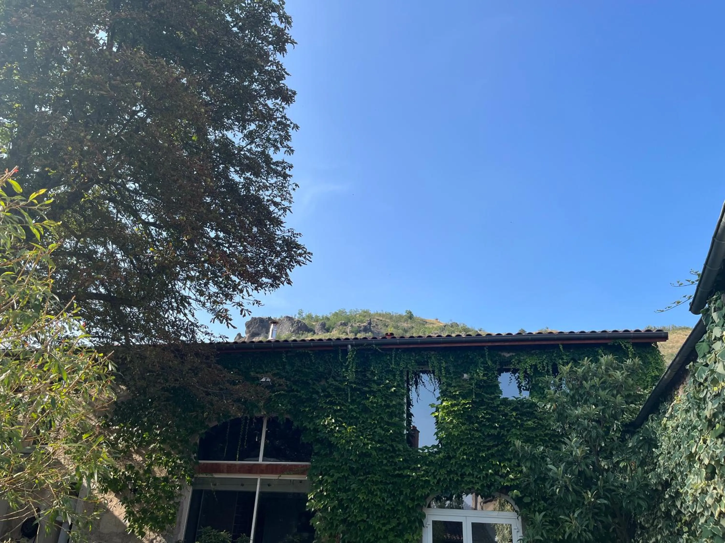 Garden view in la Cour Carrée