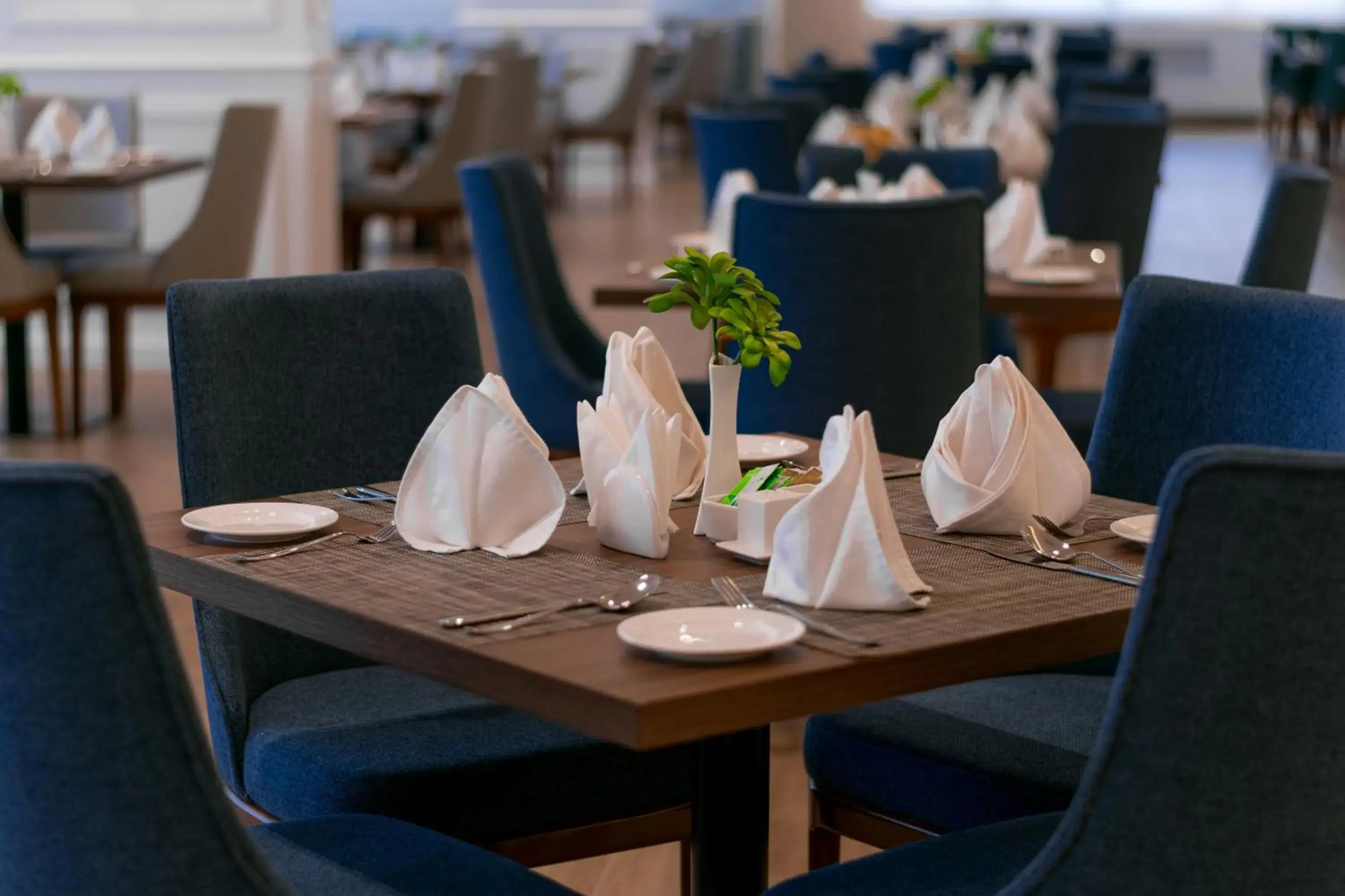 Restaurant/places to eat in Best Western Plus Jeddah Hotel Madinah Road Restaurant/places to eat in Best Western Plus Jeddah Hotel Madinah Road