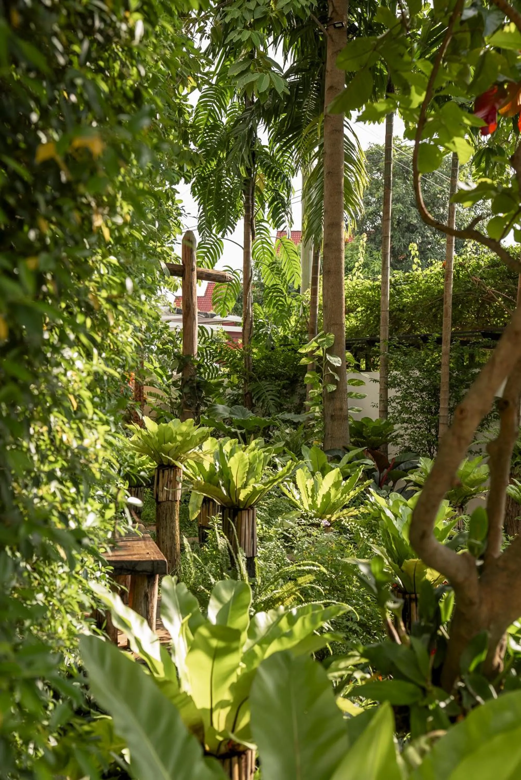 Garden in Sarai and Wander Resort