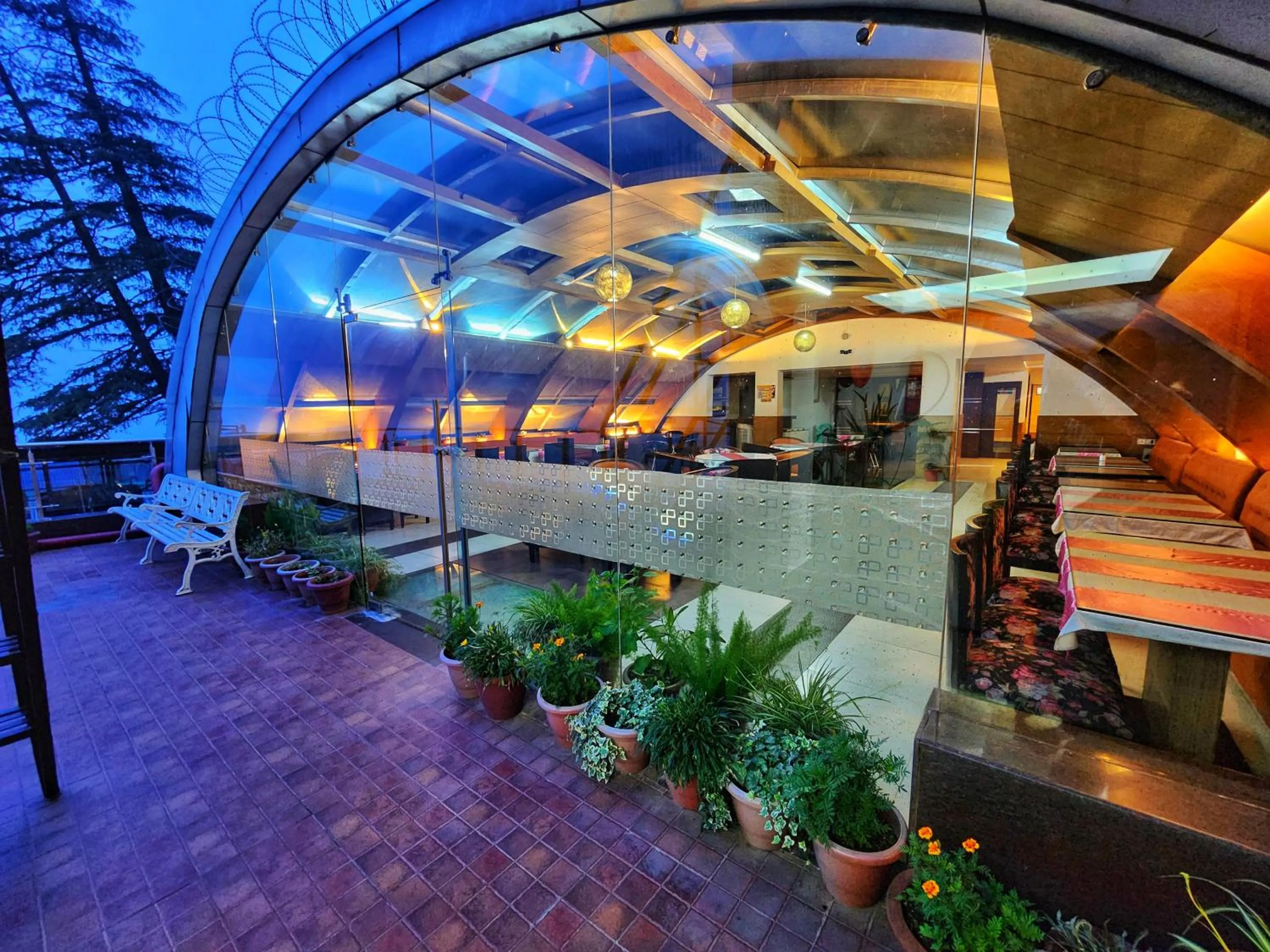 Restaurant/places to eat in Hotel Surya Shimla