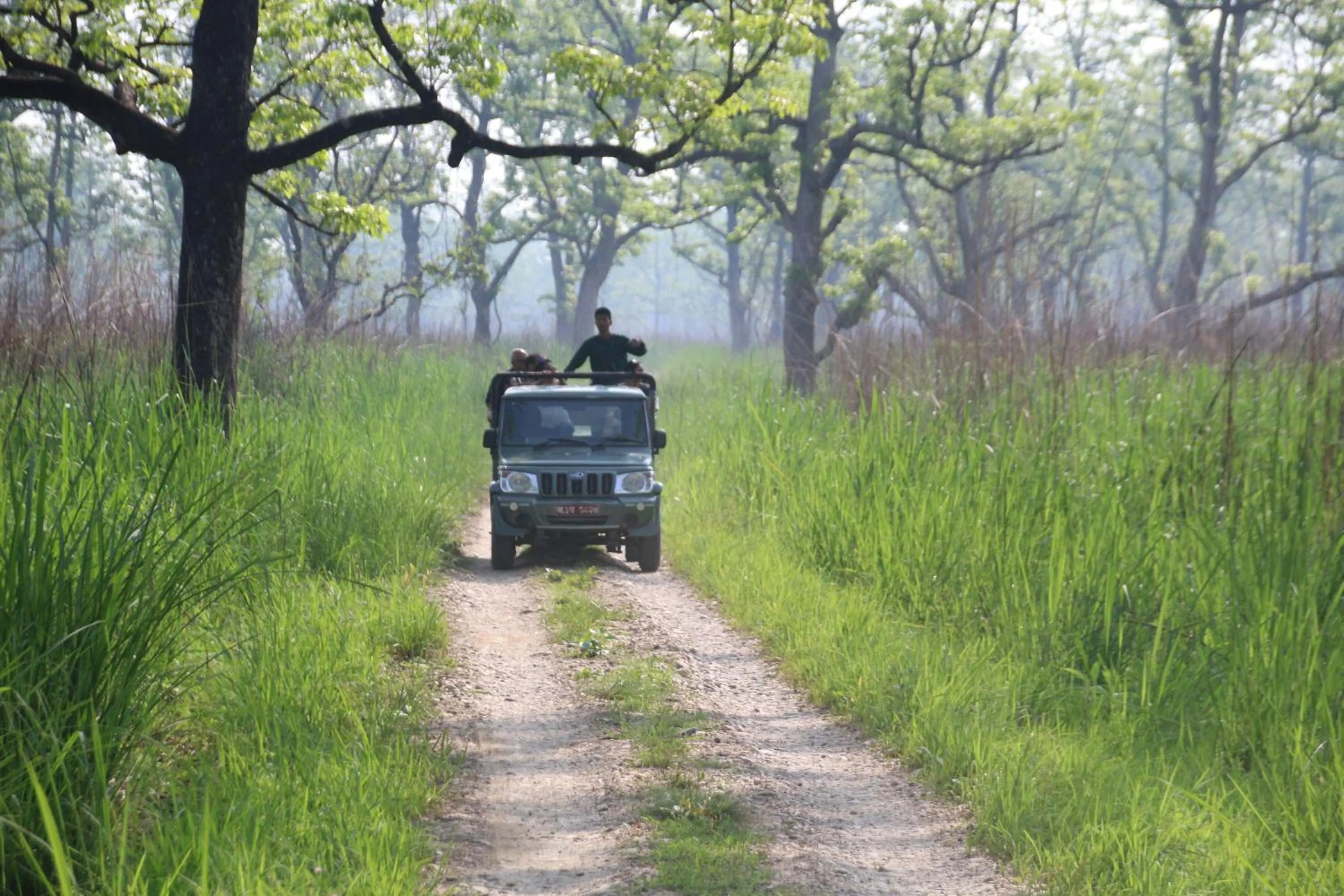 Activities in Sweet Home