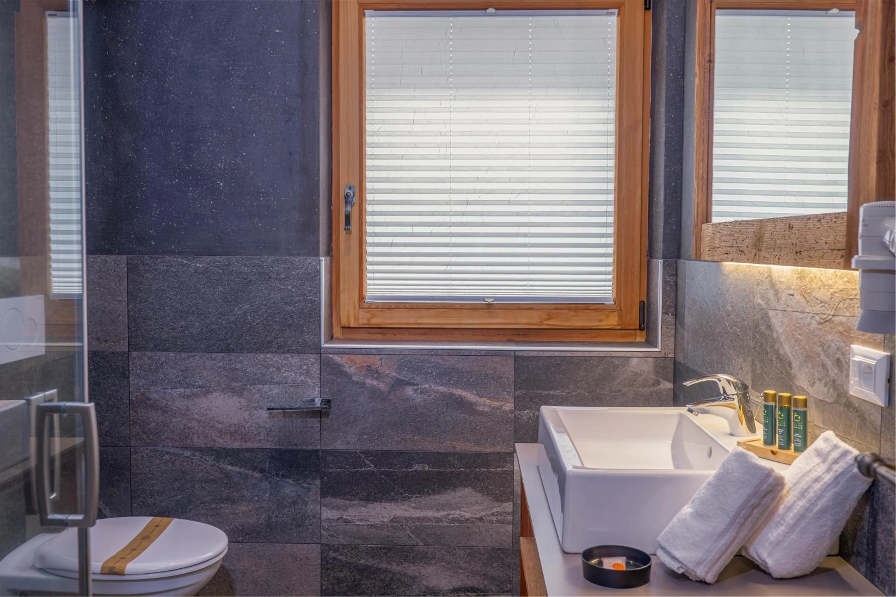 Shower in Alpine Mountain Chalet
