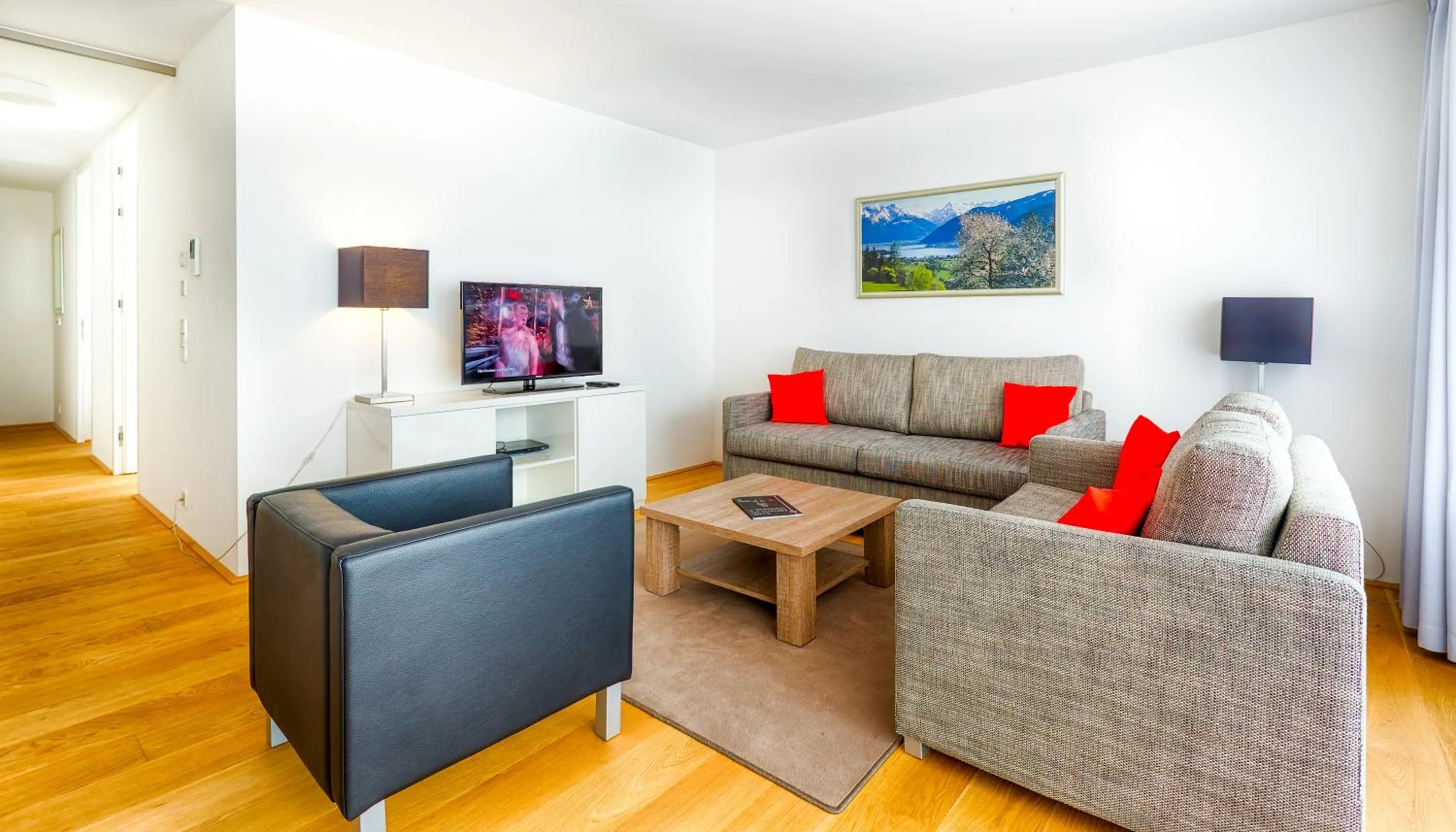 TV and multimedia in Residence Bellevue