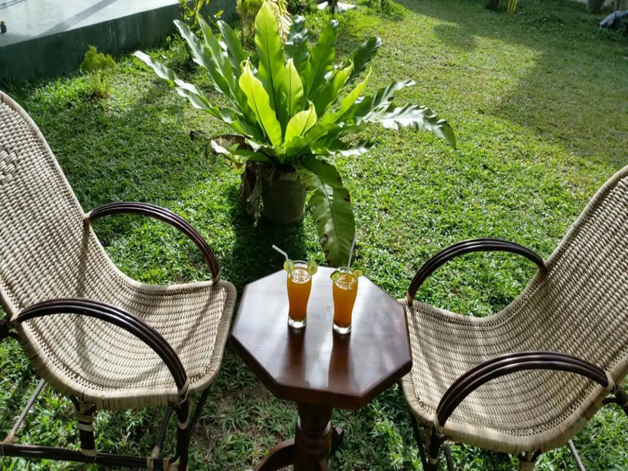 Garden view in Crystal Oceanic Garden view in Crystal Oceanic