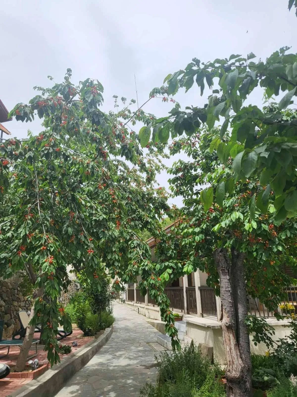 Natural landscape in Kallithea INN