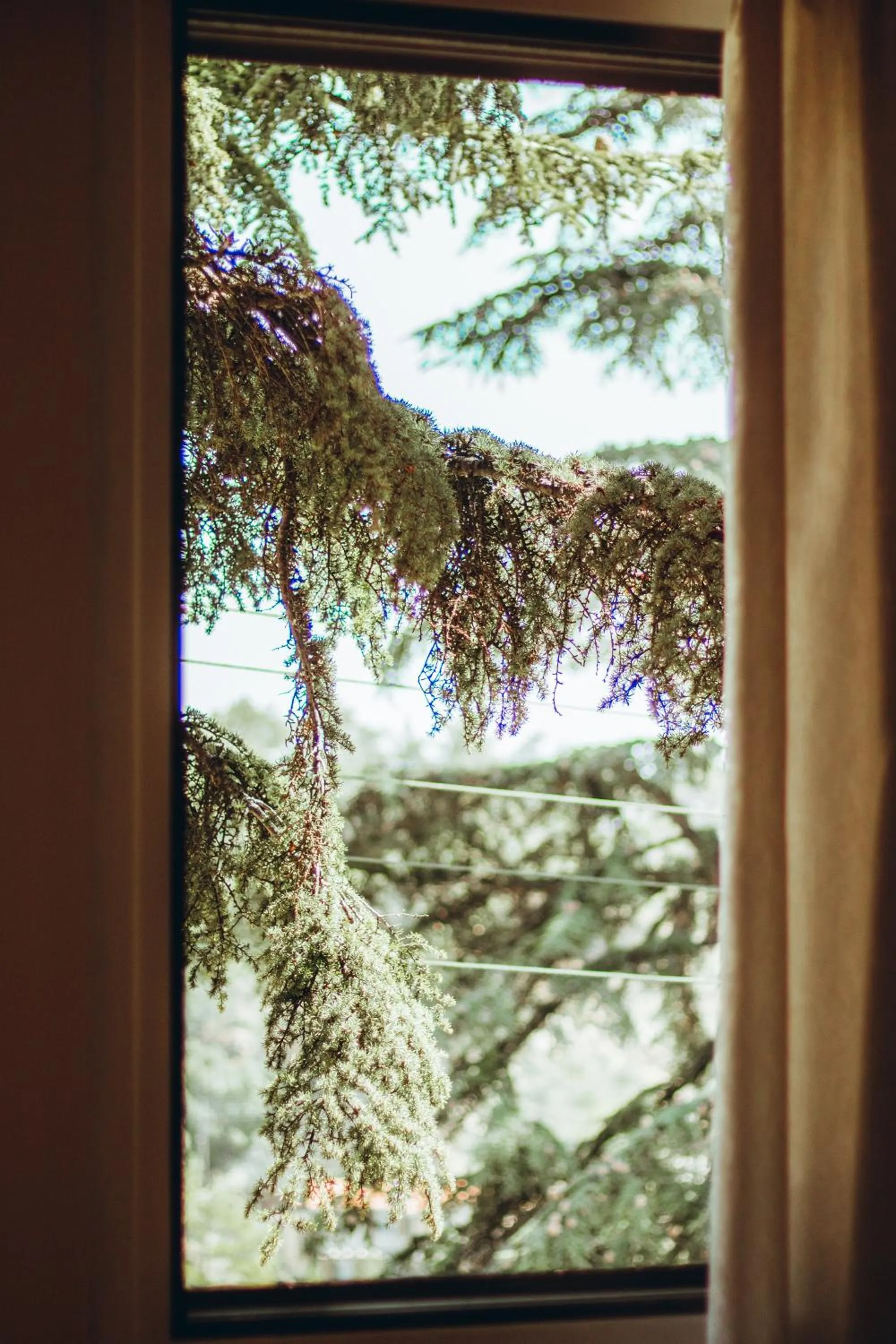 View (from property/room) in Kallithea INN