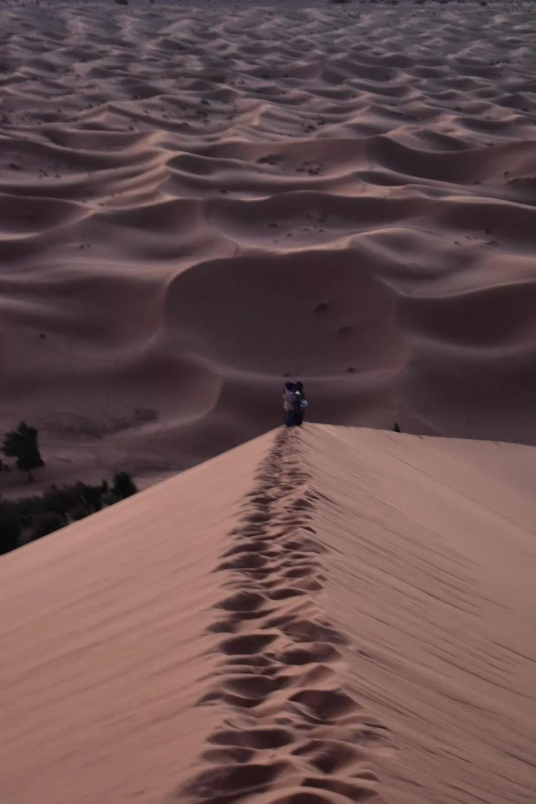 Other in Chez Belkacem