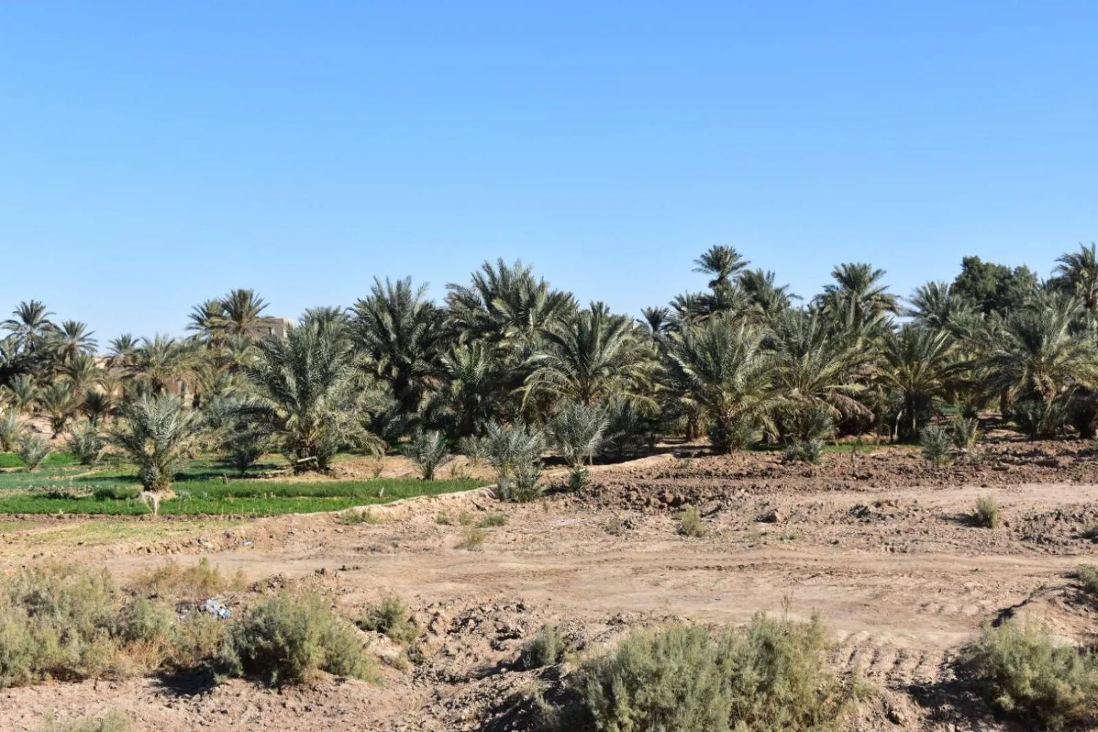 Other in Chez Belkacem