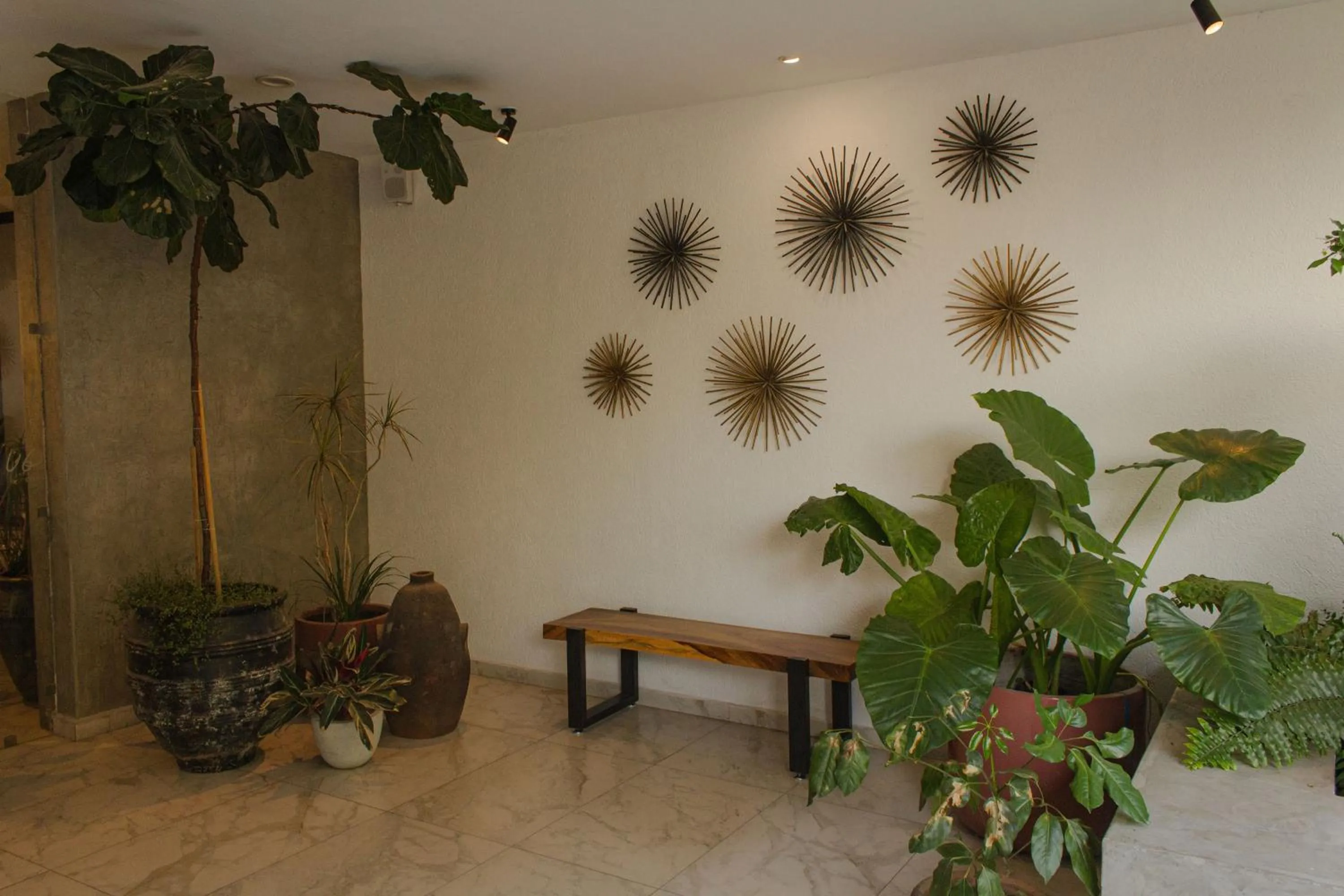 DHaus Guadalajara Country Club