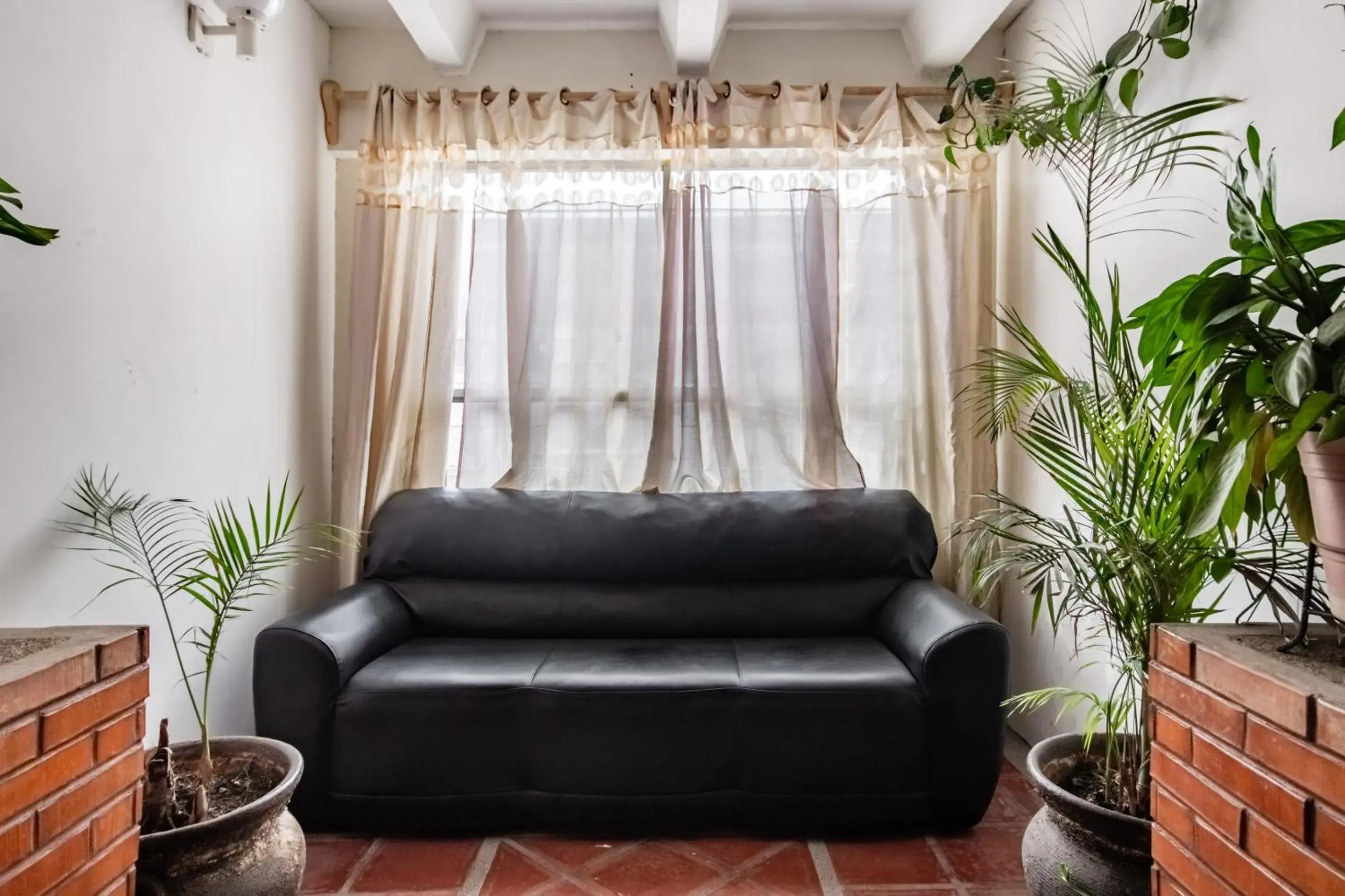 Lobby or reception in OYO Hotel Halley Lobby or reception in OYO Hotel Halley