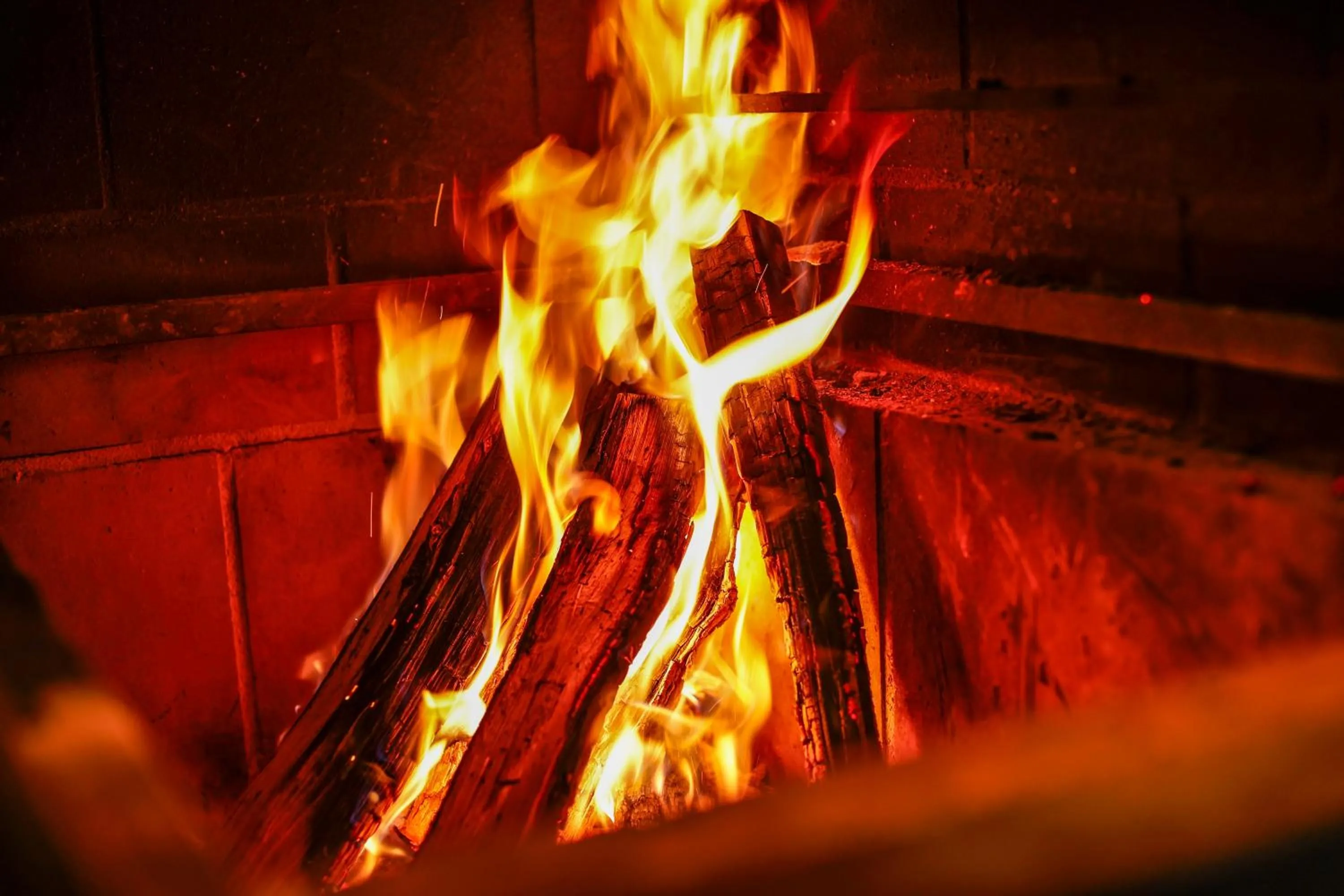 Dinner in VILLA COMMUNICO,Nara