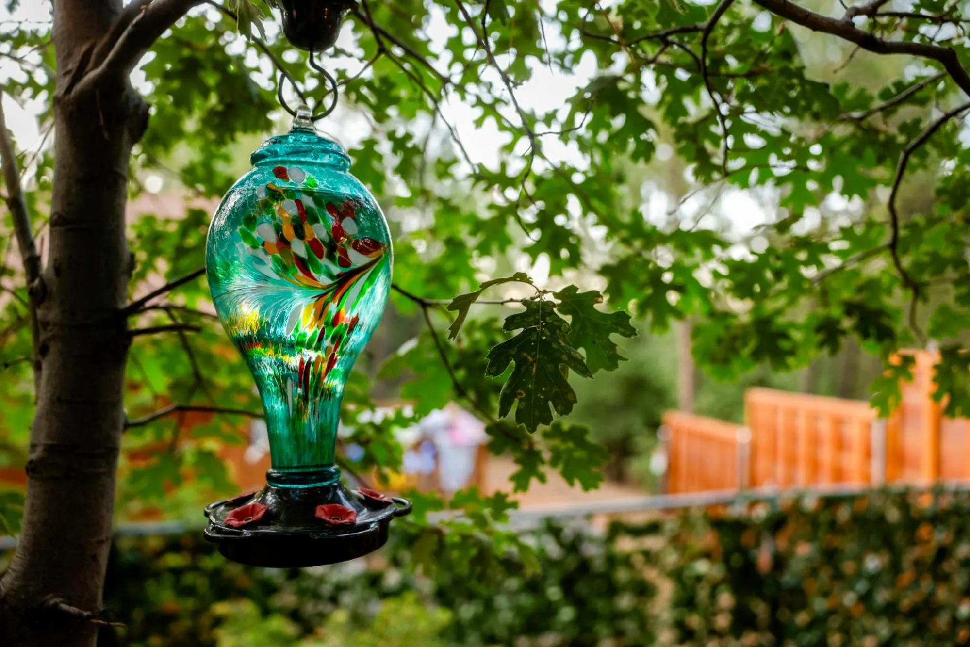 The nest on towne trail #2480
