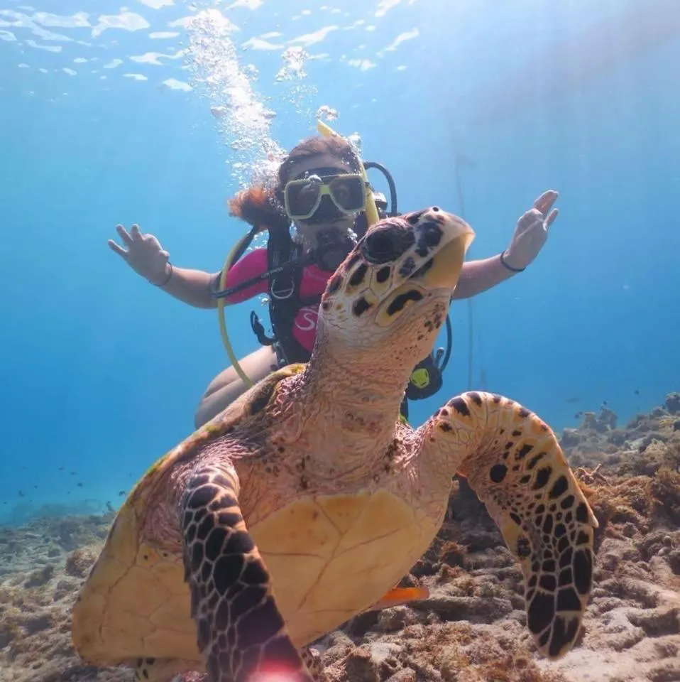 Lagun Blou Resort - Curacao