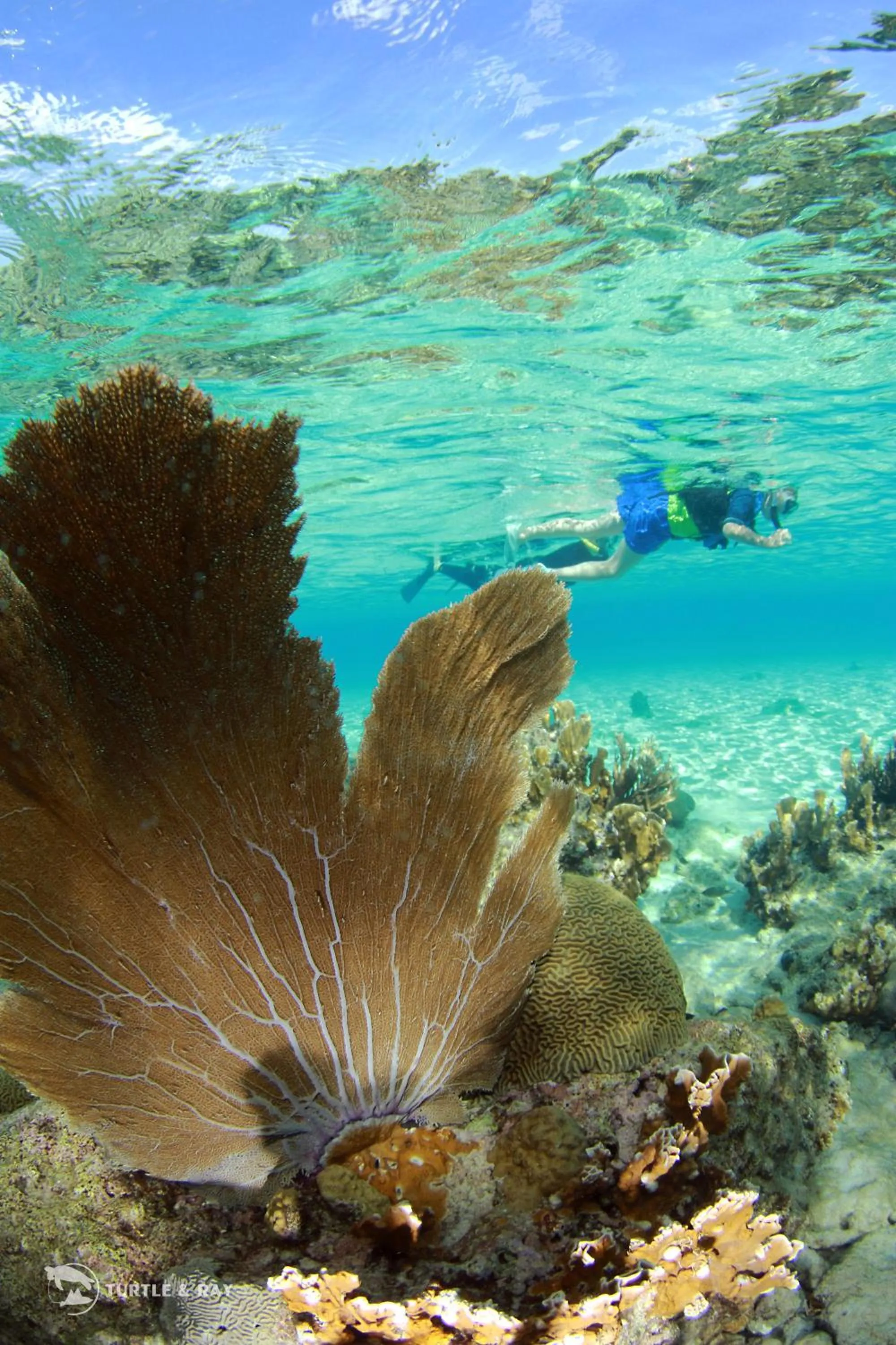 Activities in Lagun Blou Resort - Curacao