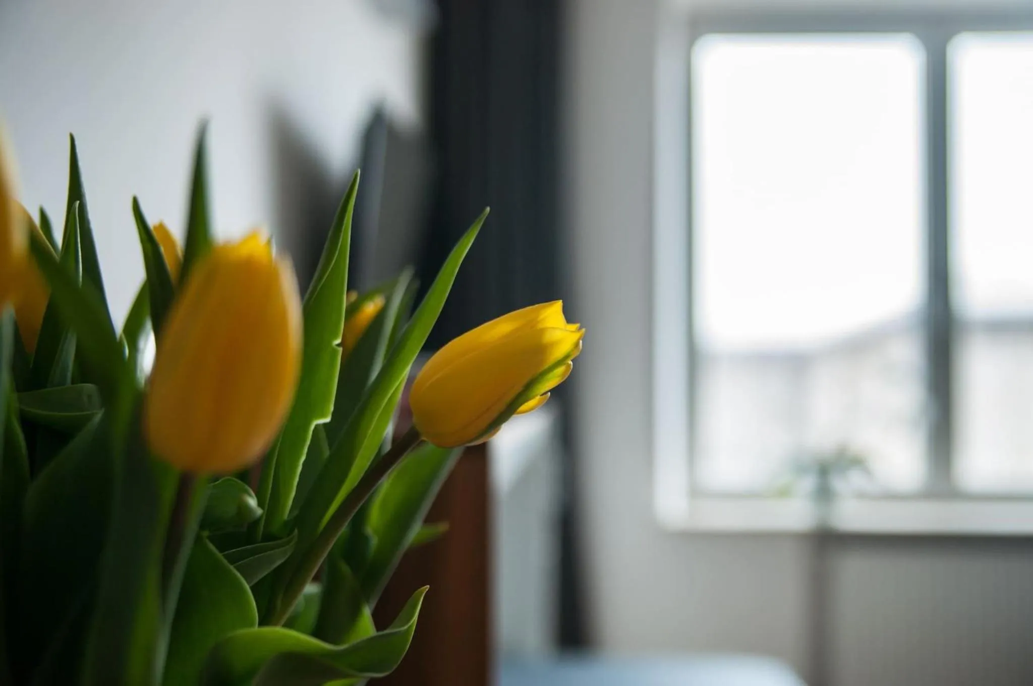 Other in Smolna Apartments by Your Freedom