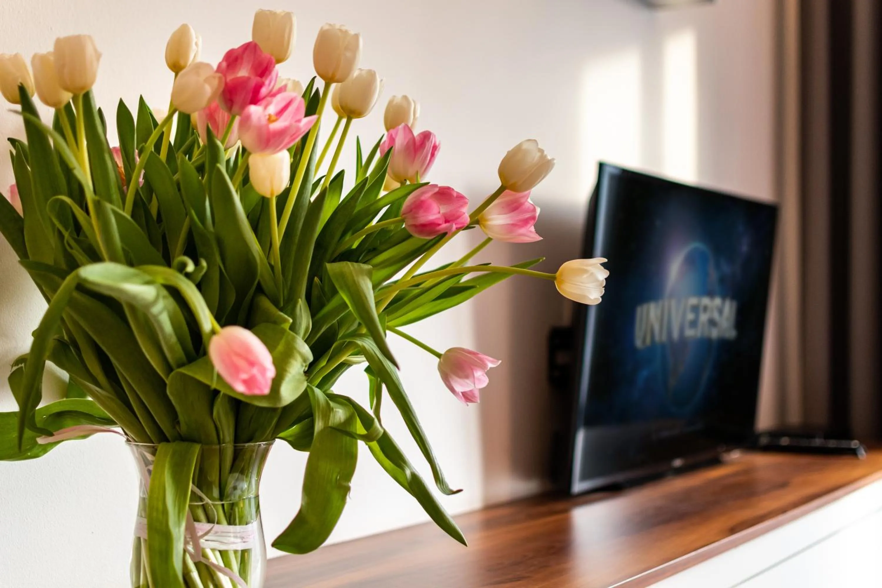 TV and multimedia in Smolna Apartments by Your Freedom