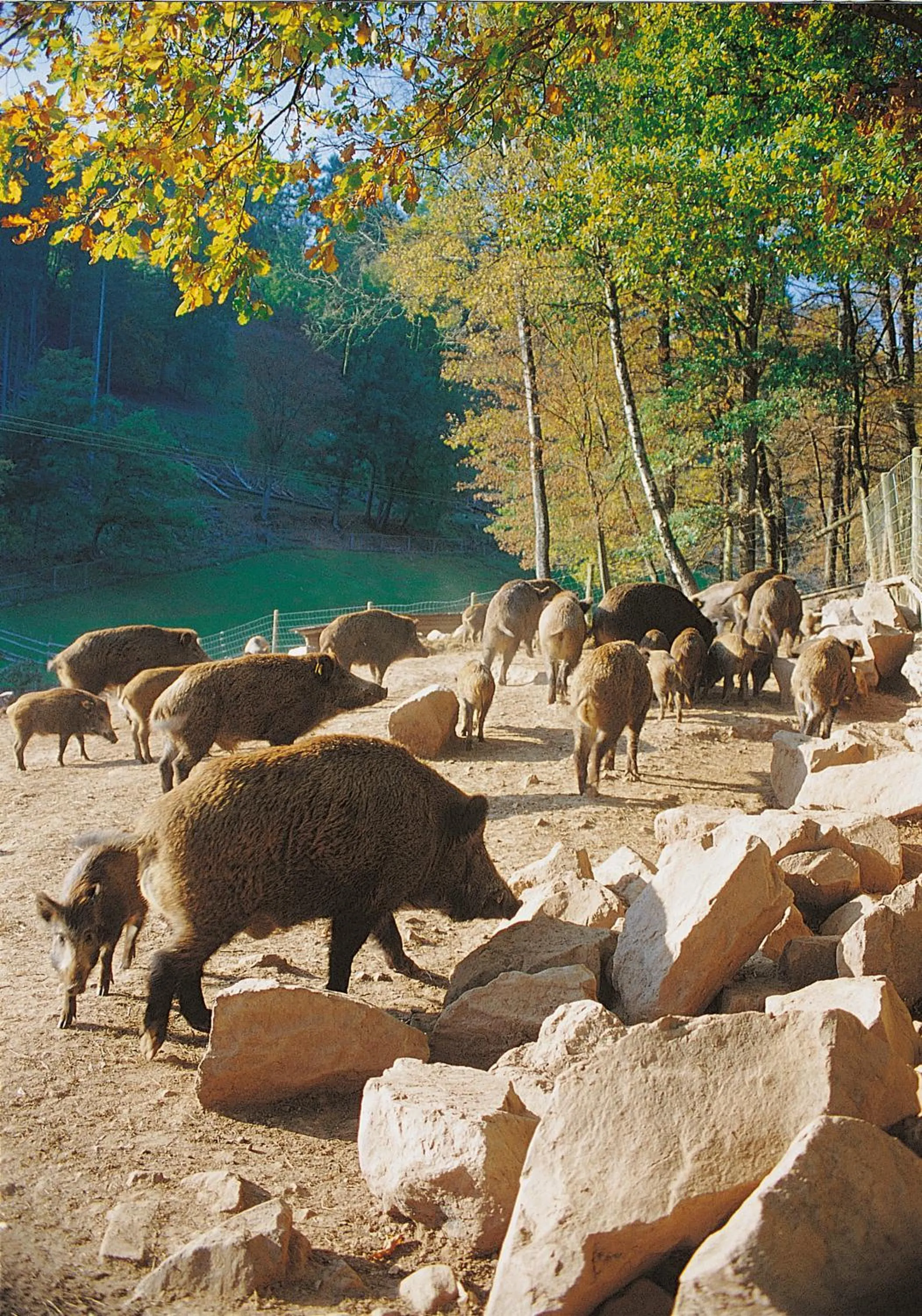 Hiking in Gasthof und Pension Zur Frischen Quelle