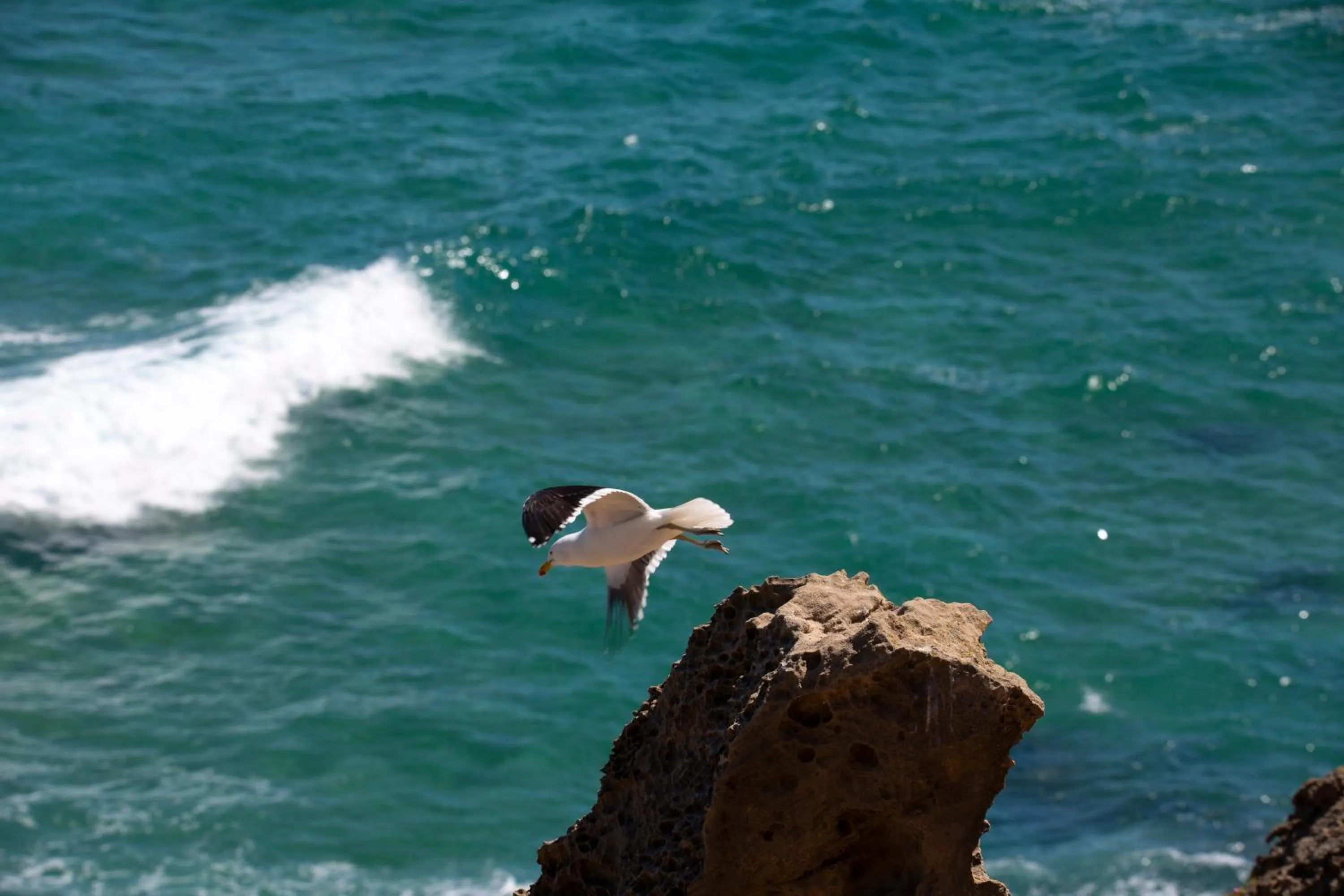 Day in Brenton Haven Beachfront Resort