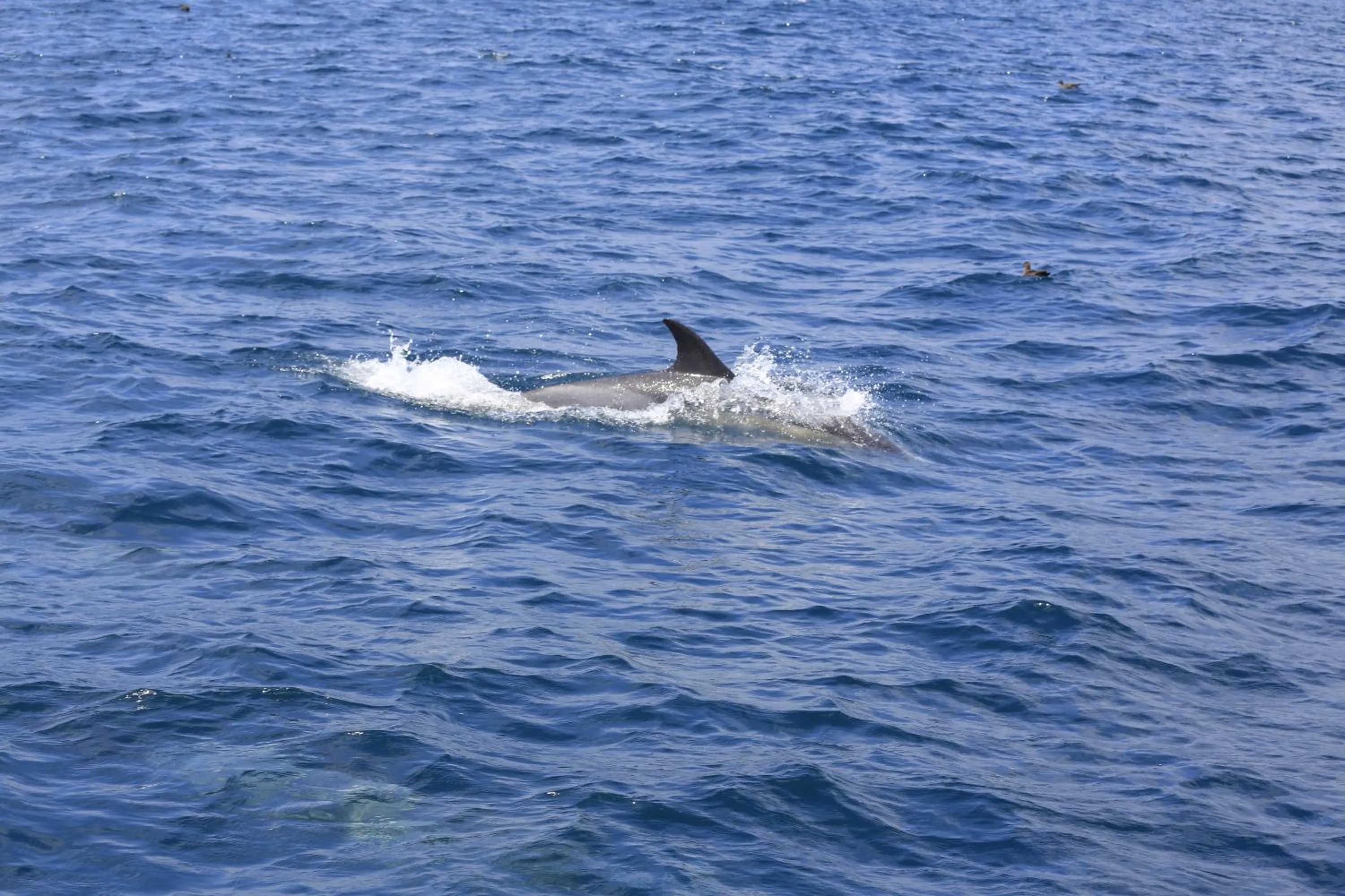 Natural landscape in Brenton Haven Beachfront Resort