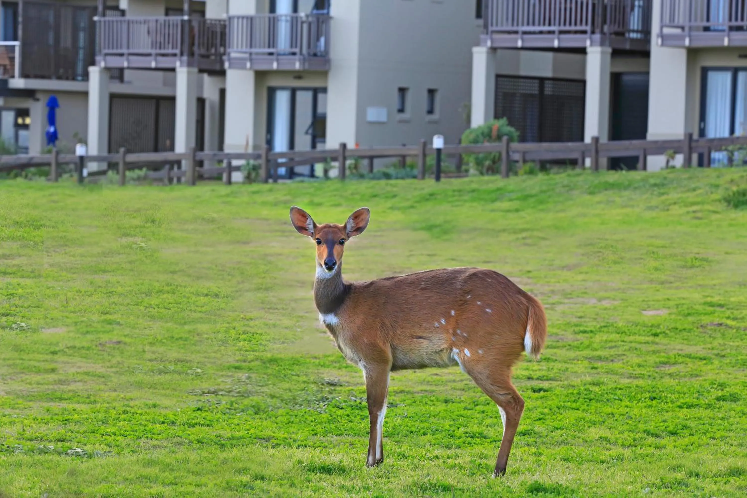 Facade/entrance in Brenton Haven Beachfront Resort