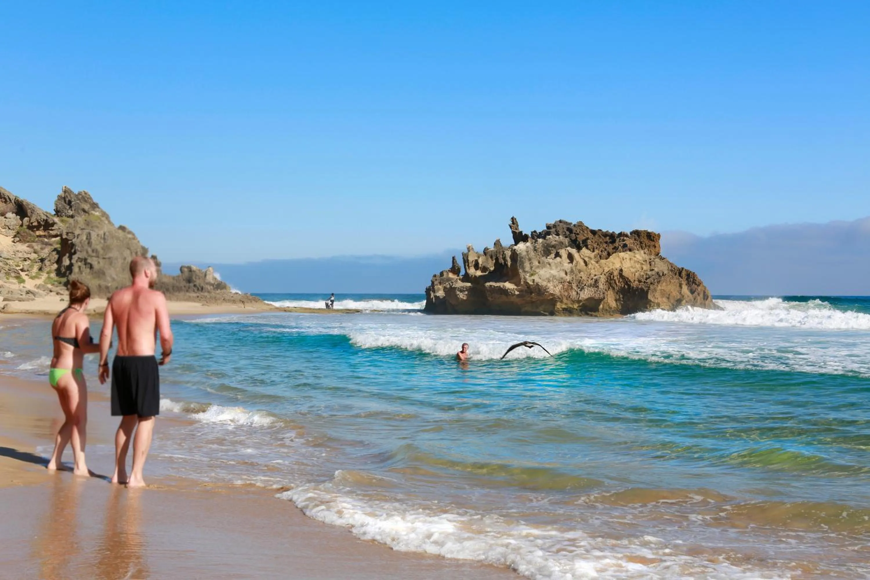 Snorkeling in Brenton Haven Beachfront Resort