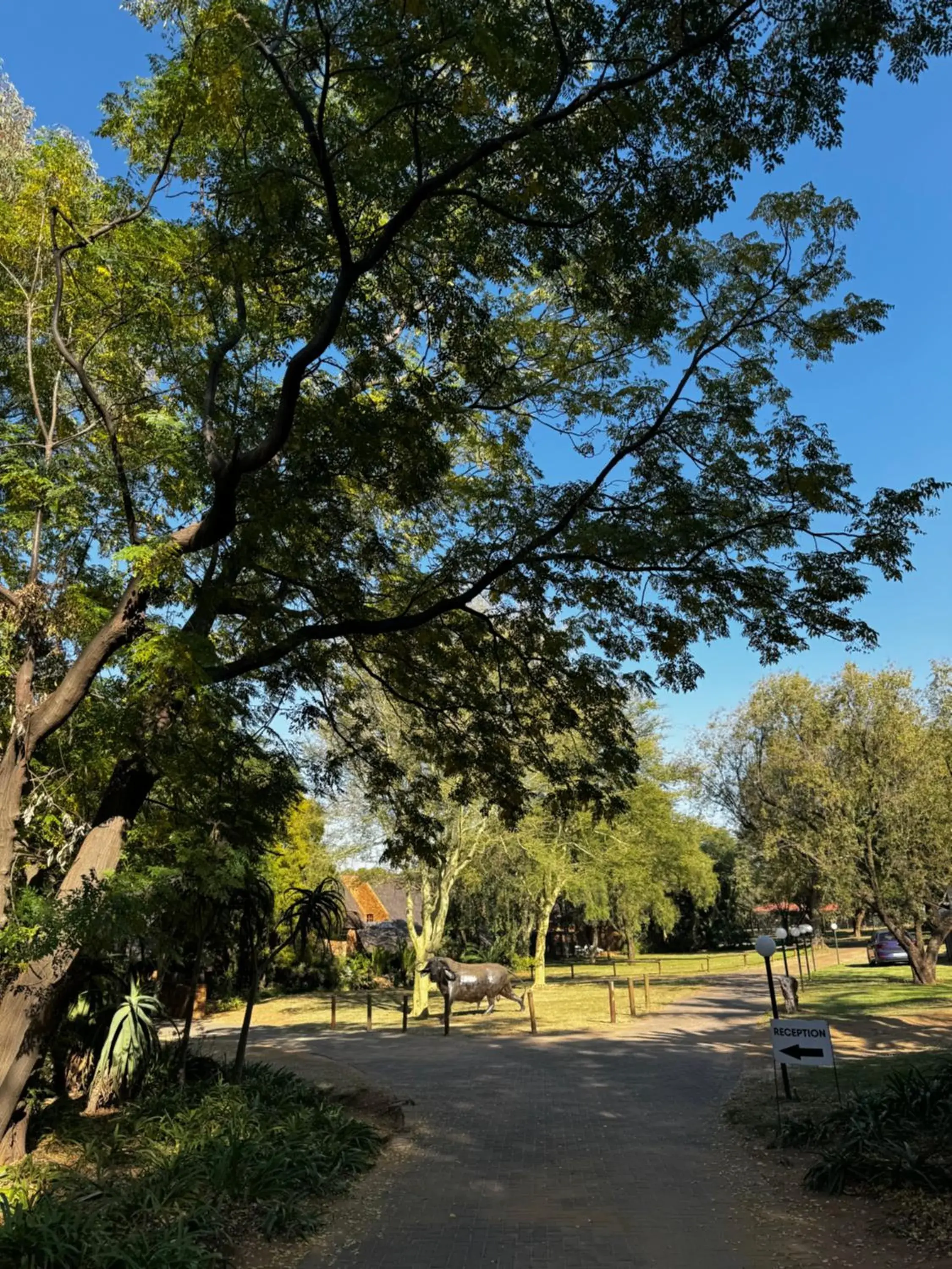 Khaya Africa Guesthouse Khaya Africa Guesthouse