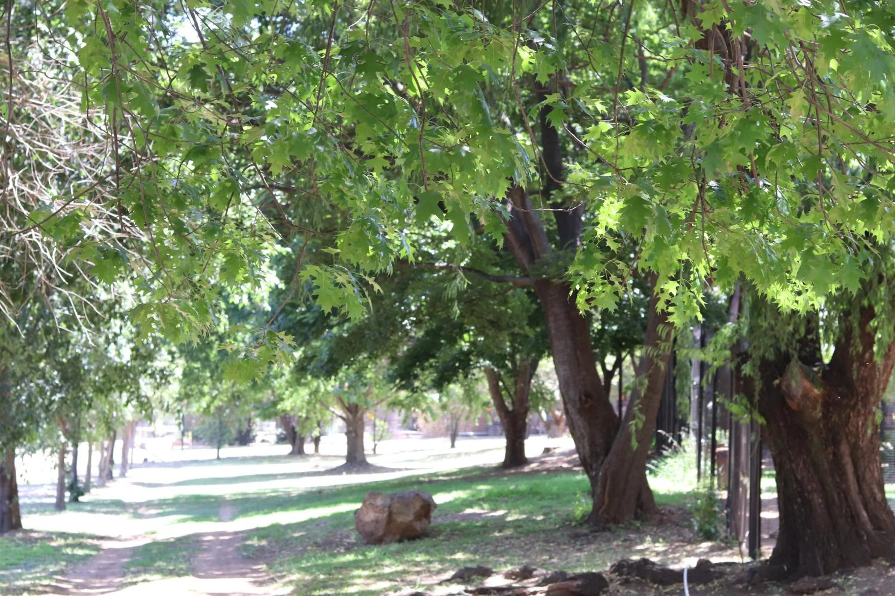 Hiking in Khaya Africa Guesthouse