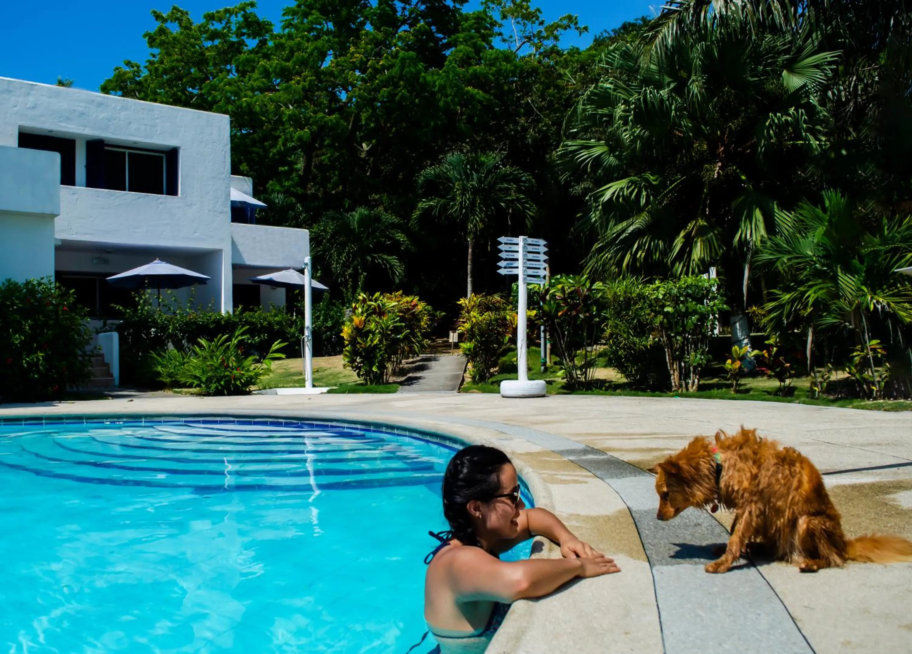 Pets in Hotel Green 9 & Beach Resort Casablanca