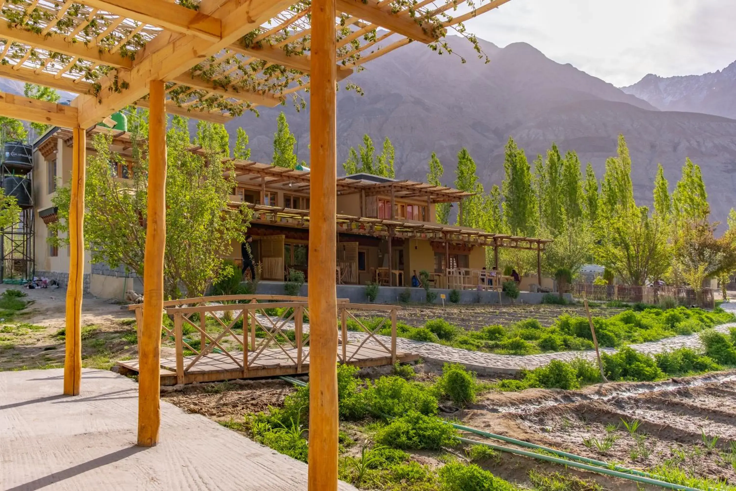 Property building in Nubra Ecolodge Property building in Nubra Ecolodge