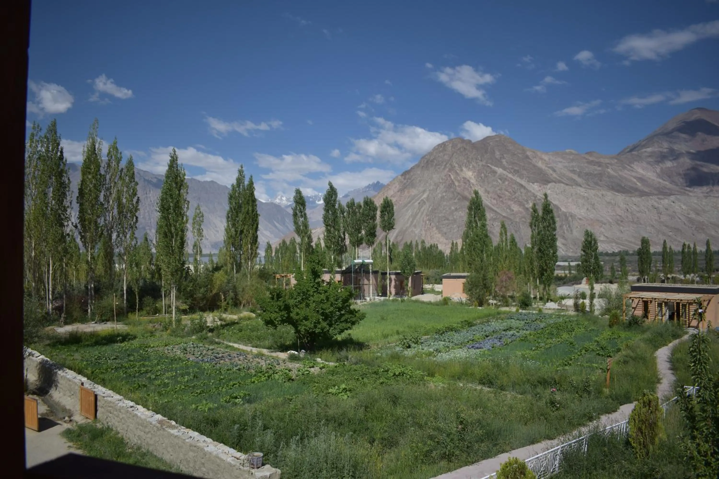 Mountain view in Nubra Ecolodge