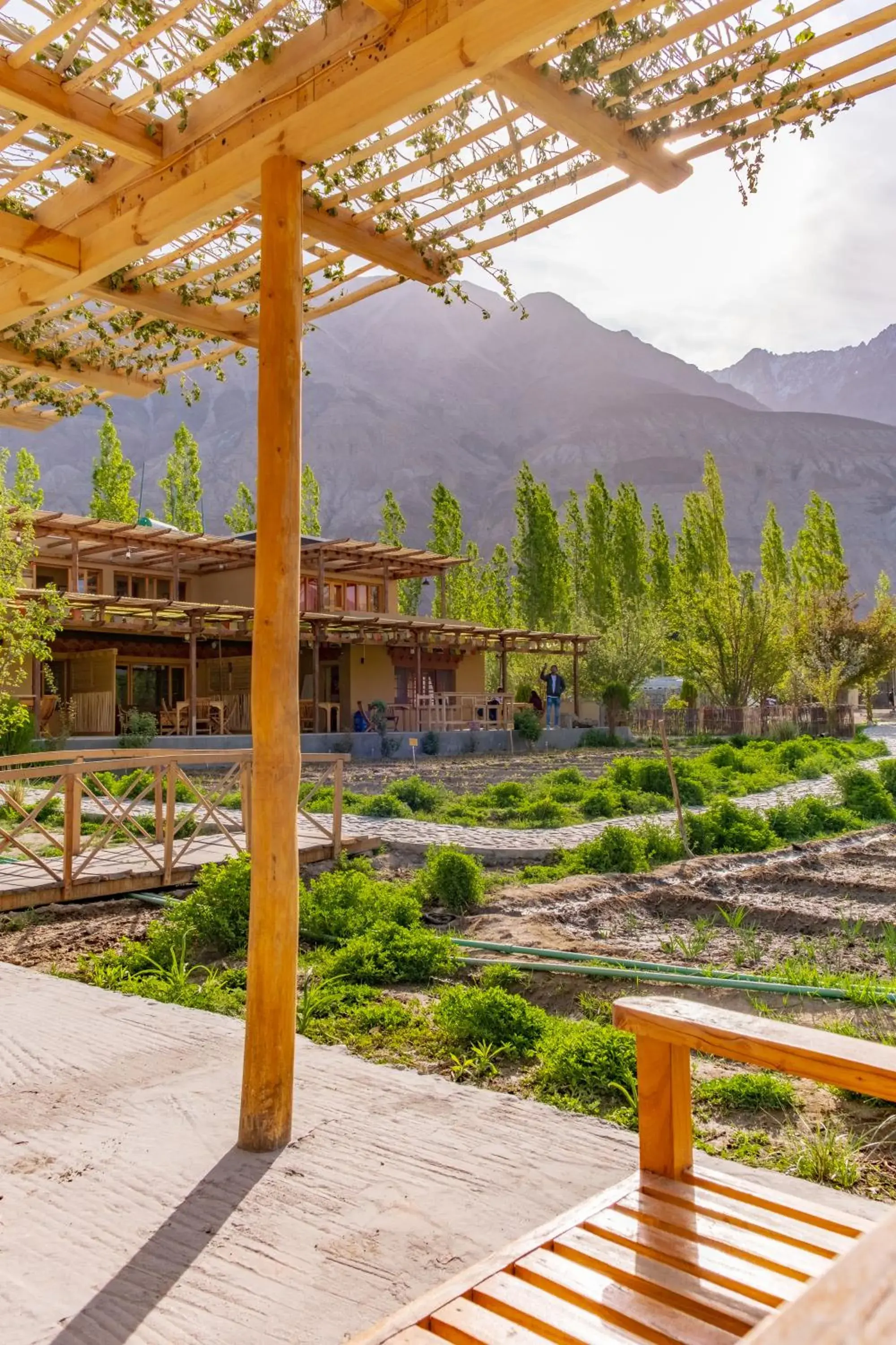 Property building in Nubra Ecolodge Property building in Nubra Ecolodge