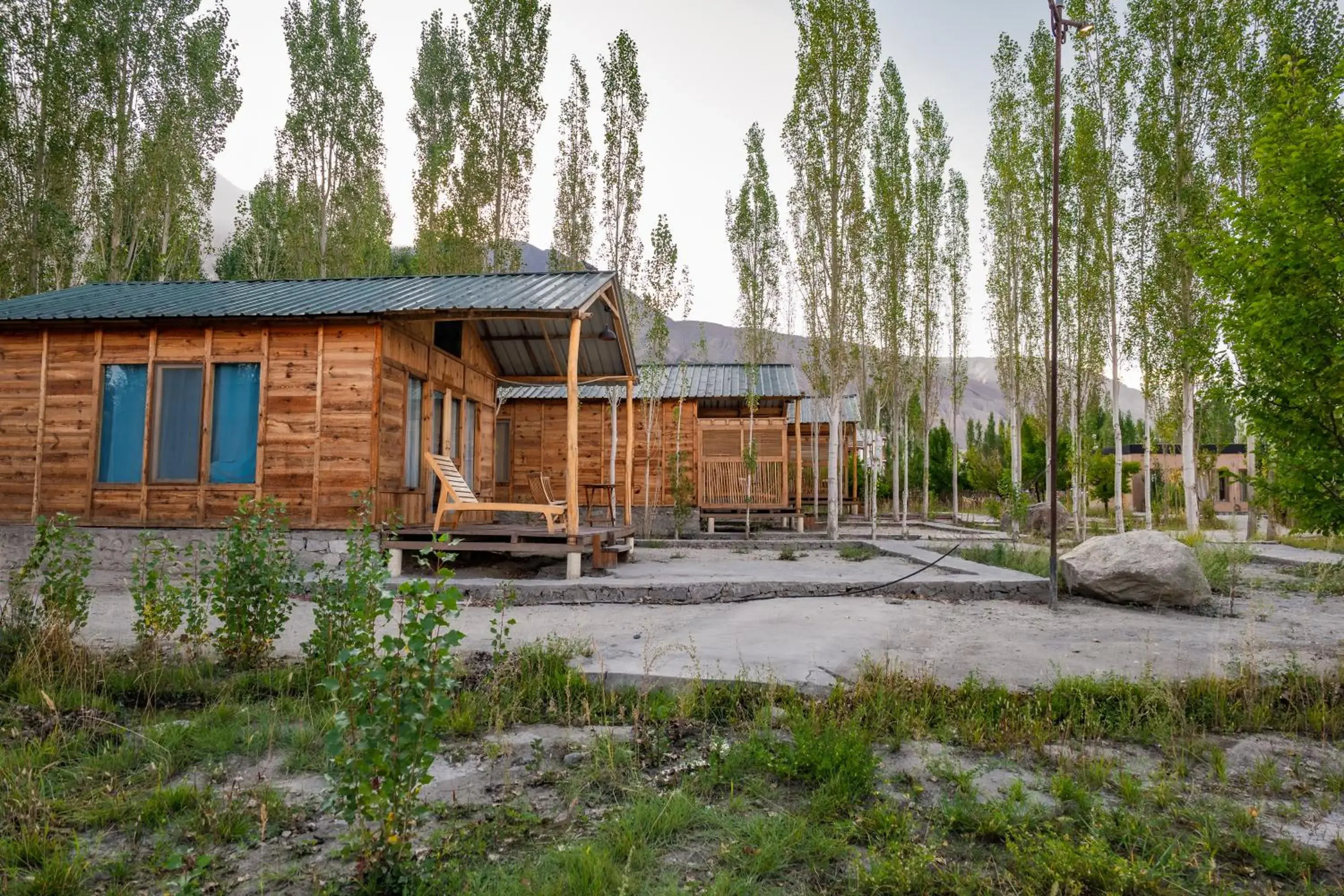 View (from property/room) in Nubra Ecolodge View (from property/room) in Nubra Ecolodge