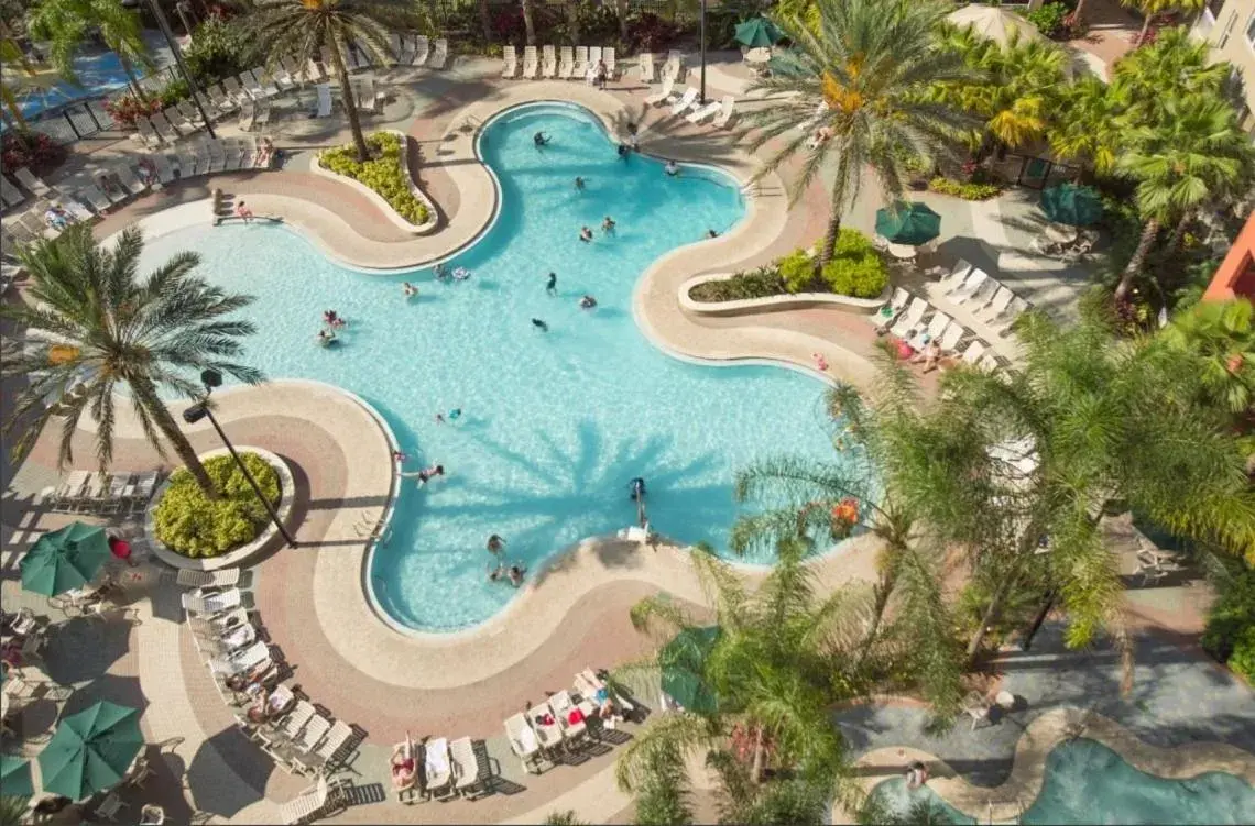 Vacation Village at Parkway Vacation Village at Parkway