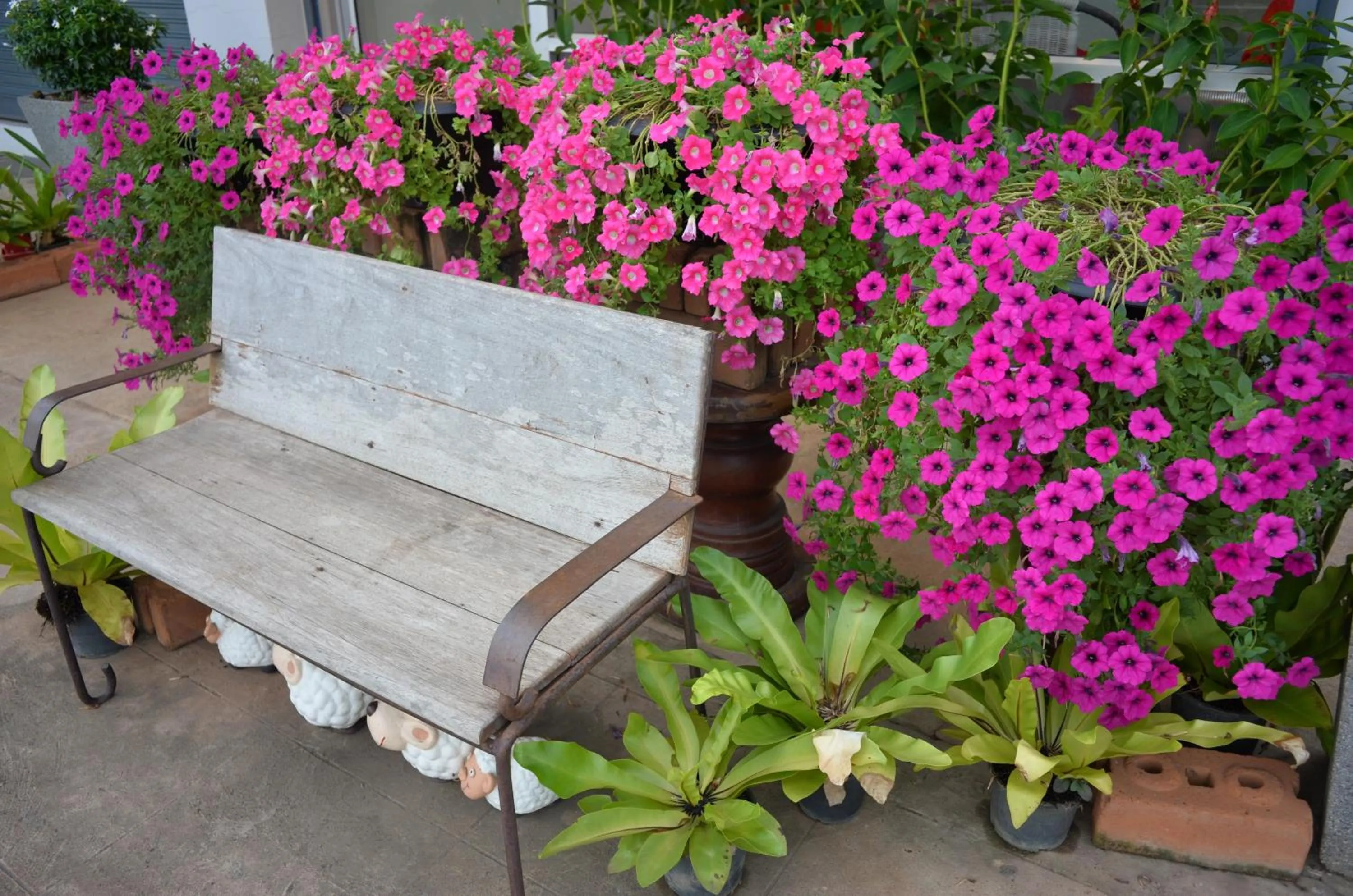 Winter in Honghub Sakon Hotel